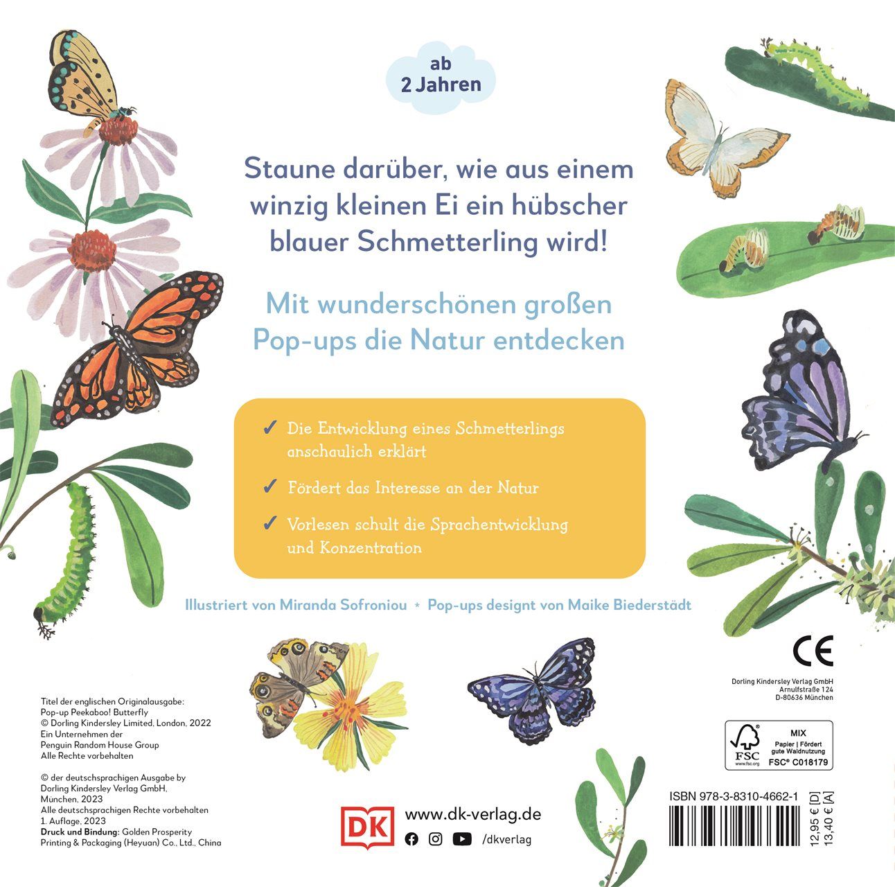 Rückseite des Buches. Text über die Entwicklung eines Schmetterlings. Illustrationen von Schmetterlingen und Raupen.