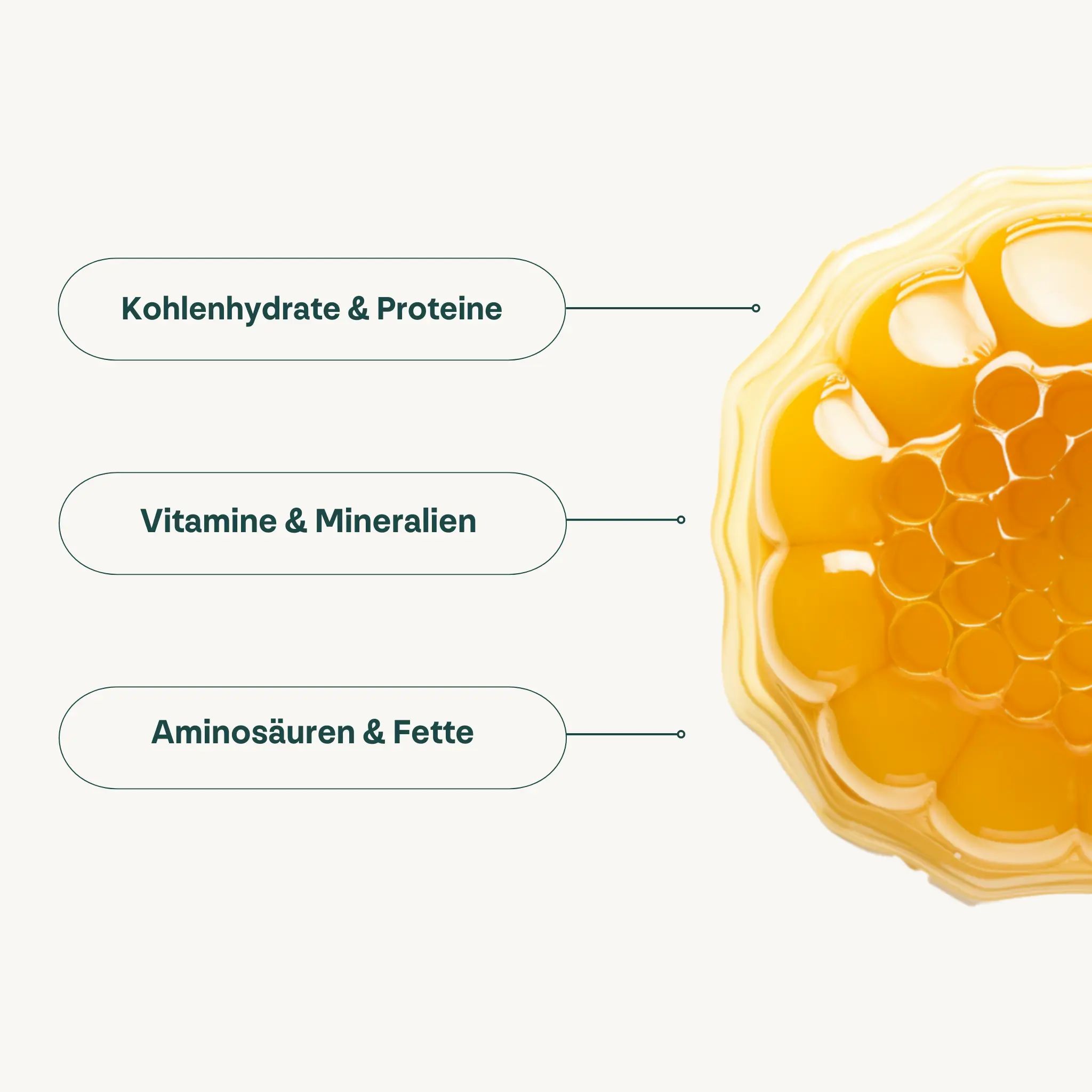 Gelbe Flüssigkeit mit Informationen zu Kohlenhydraten, Proteinen, Vitaminen, Mineralien, Aminosäuren und Fetten.
