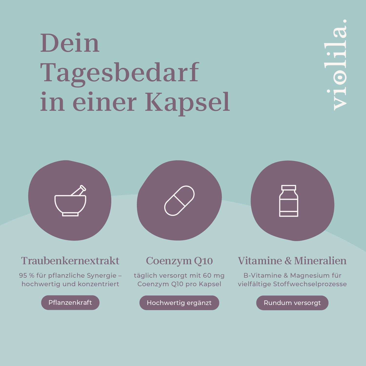 violila Q10 Premium Kapseln