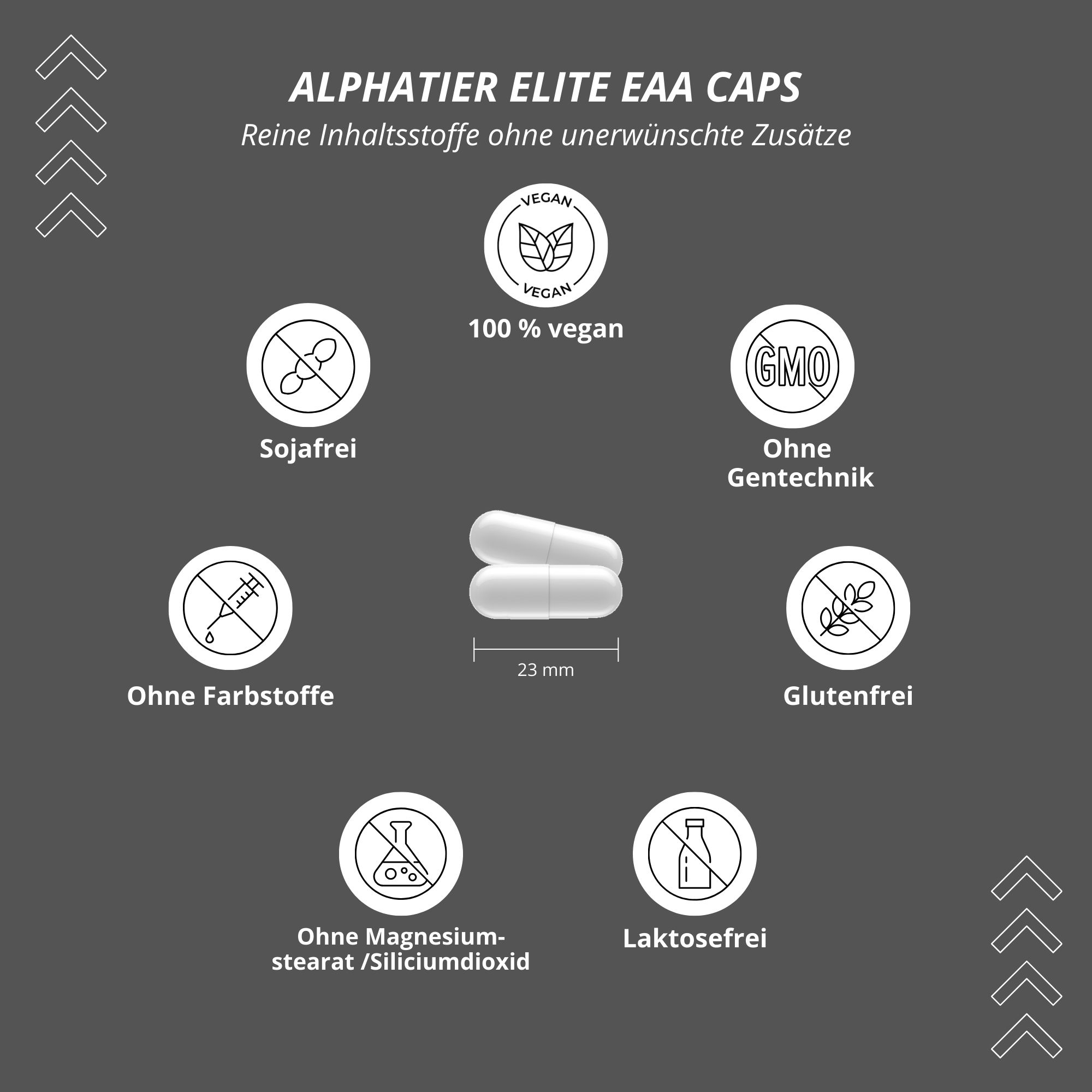 Grafik mit Symbolen: vegan, 100% vegan, ohne Soja, ohne Farbstoffe, ohne Gentechnik, ohne Gluten, ohne Magnesiumstearat, ohne Laktose.
