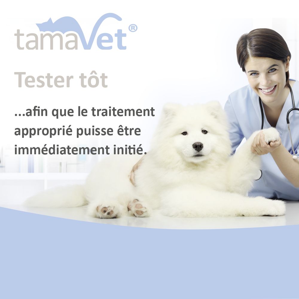 Vétérinaire avec chien. Texte : Tester tôt...afin que le traitement approprié puisse être immédiatement initié.