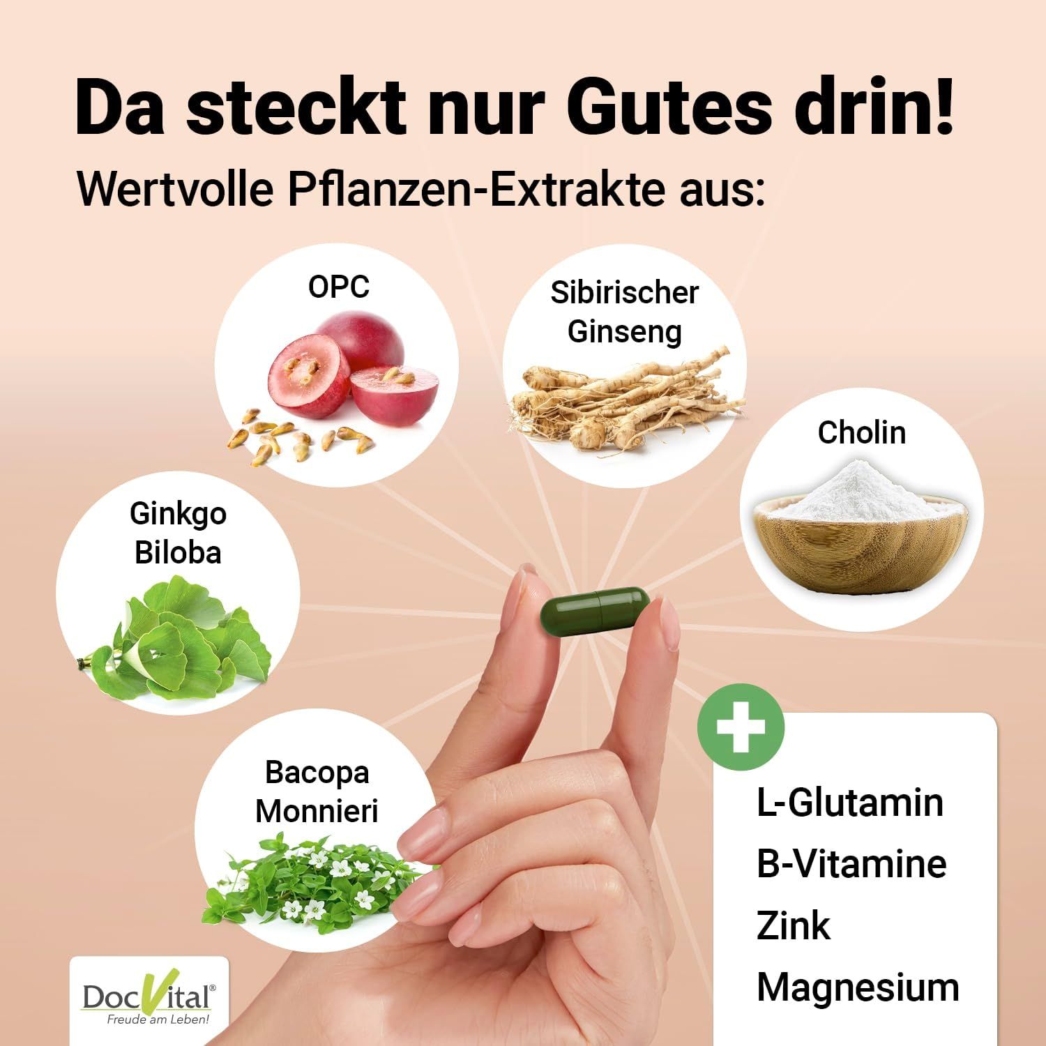DocVital Gehirn Vital Komplex Kapseln