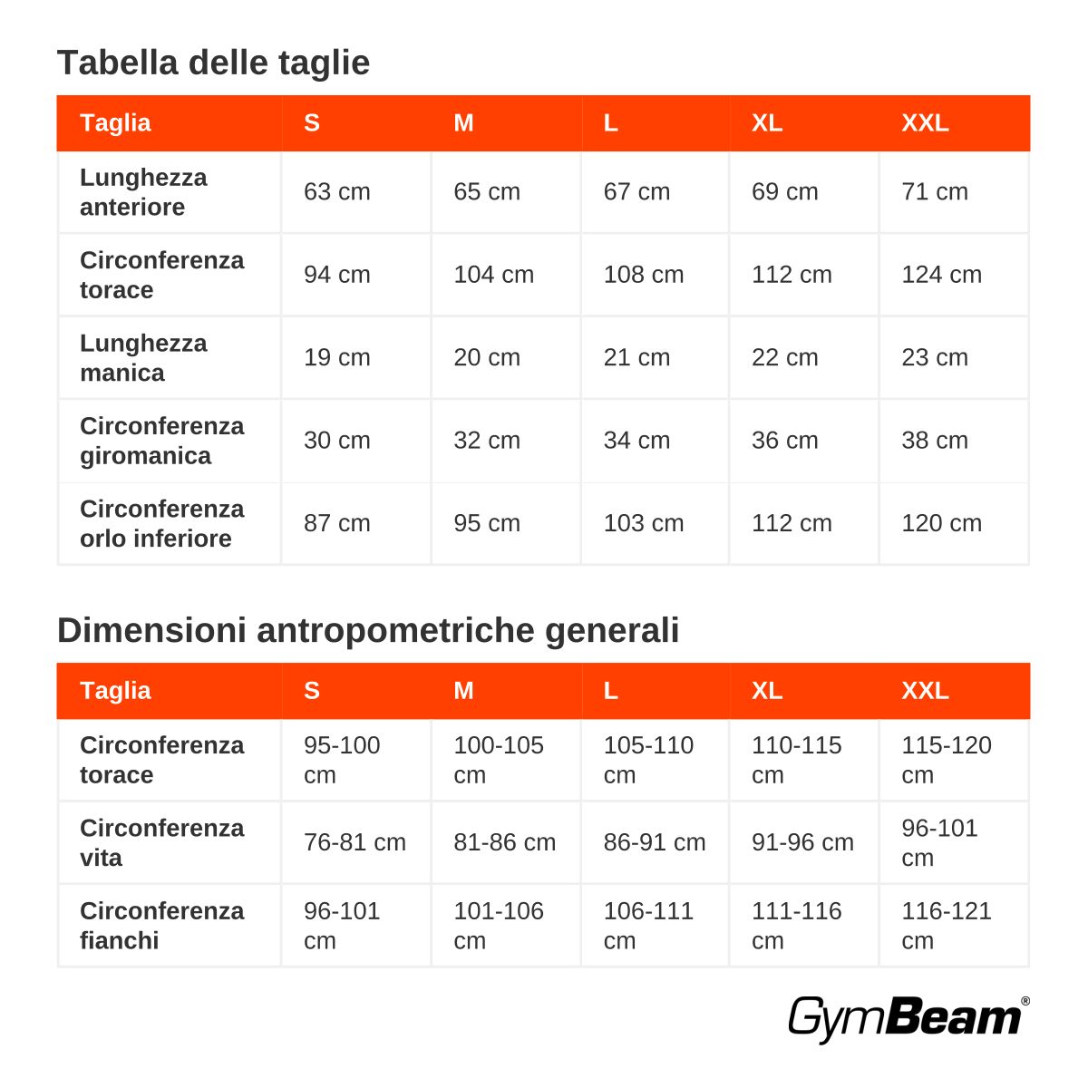 GymBeam T-Shirt Herren regular mit Kurzarm aus Viskose-Elastan-Mix in Schwarz