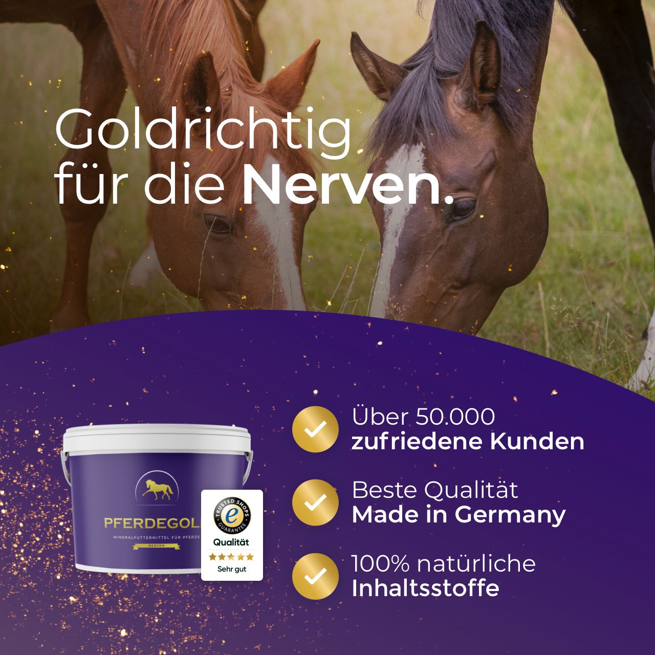 Pferdegold® Nerven