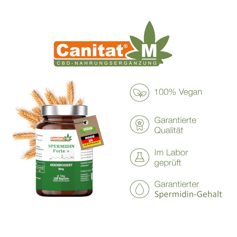 Produktflasche mit Etikett, daneben Symbole: 100% Vegan, garantierte Qualität, im Labor geprüft, garantierter Spermidin-Gehalt. Hintergrund: Weizenähren.