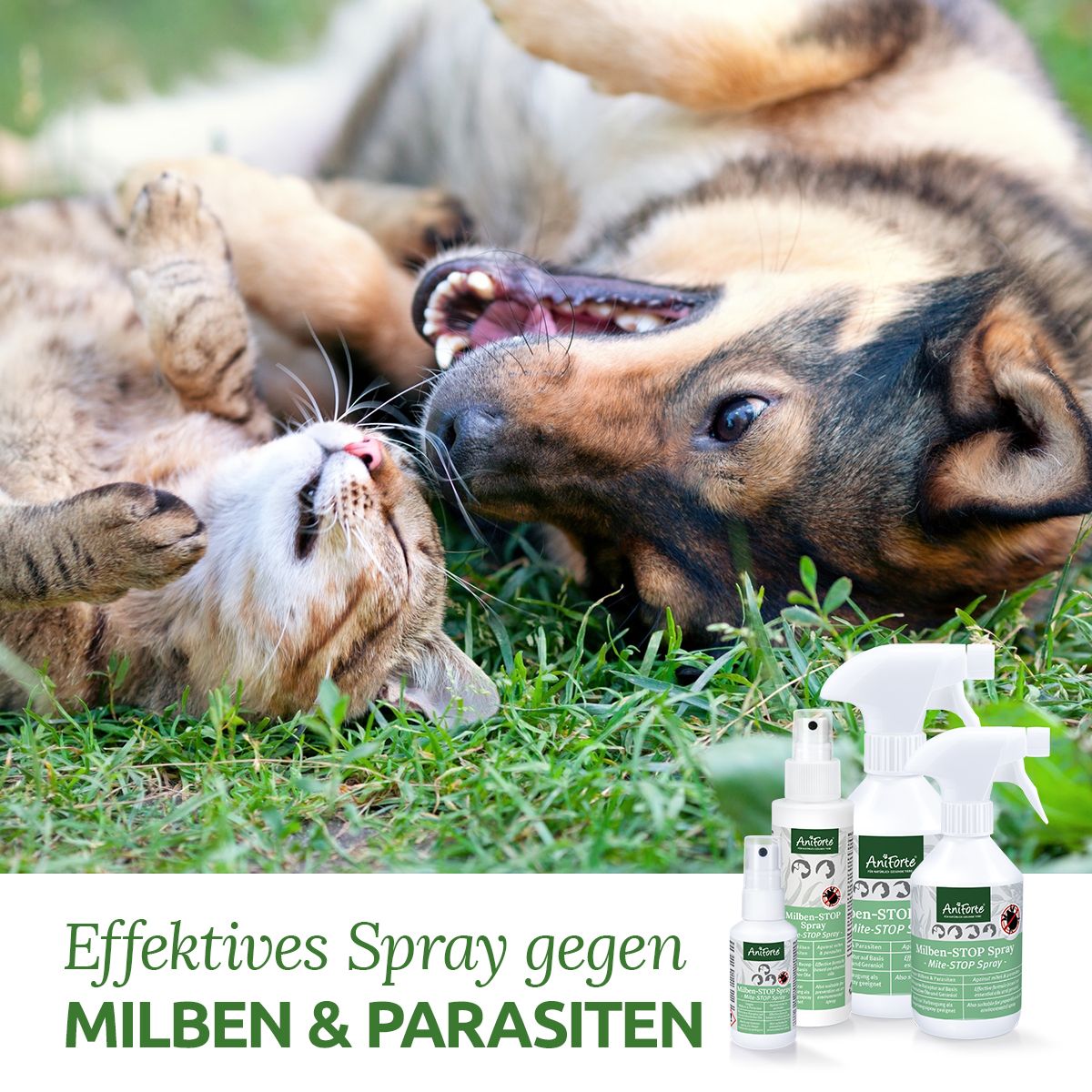 AniForte Milben Stop Spray für Hunde und Katzen