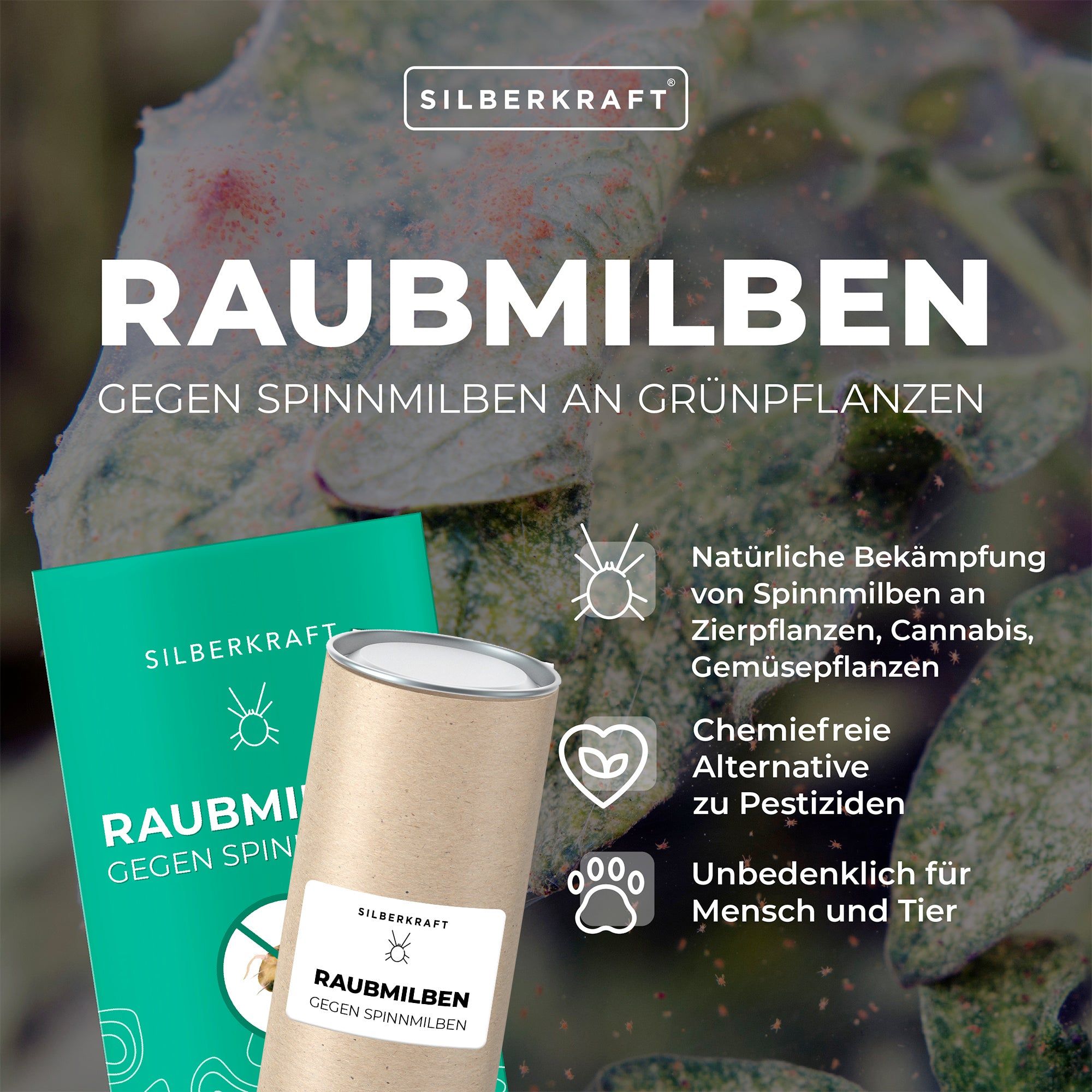 Silberkraft Raubmilben 1 St