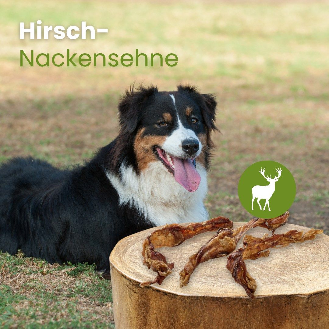 Hirsch-Nackensehnen: 100% Hirsch, hoher Proteingehalt, gut verträglich, ohne chemische Zusätze.