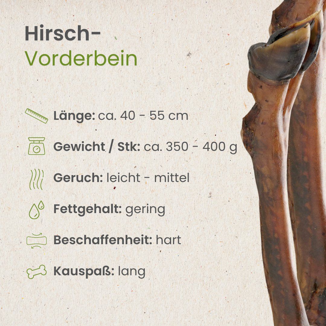 Ein einzelnes Rinderohr, getrocknet.