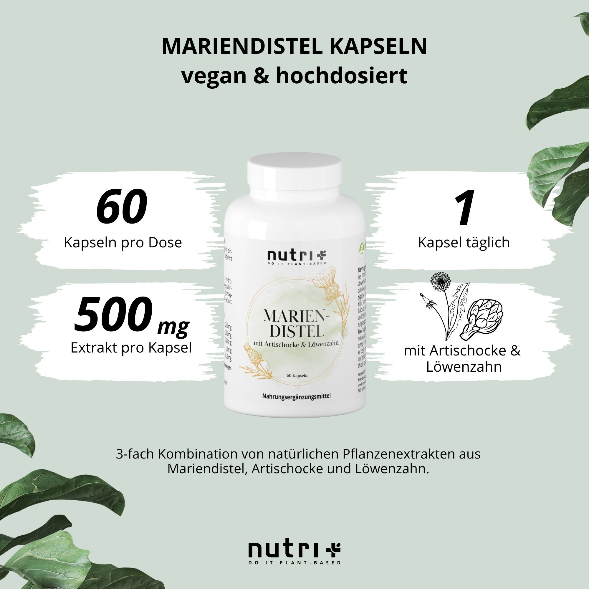 nutri+ Mariendistel Kapseln mit Artischocke + Löwenzahn
