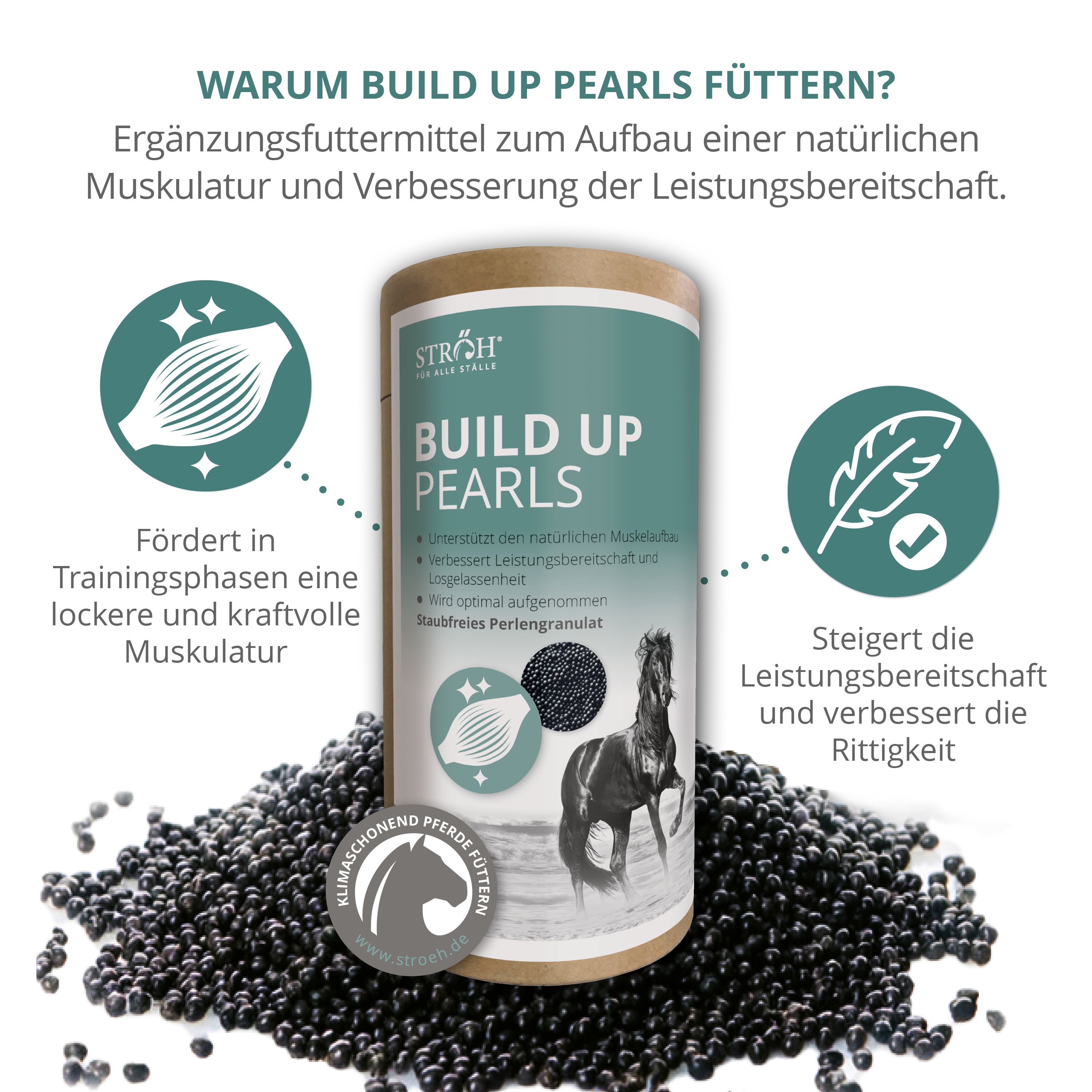 Zylinderförmige Dose STRÖH Build Up Pearls. Text: Build Up Pearls. Abbildung eines Pferdes. Schwarze Perlen. Ergänzungsfuttermittel.