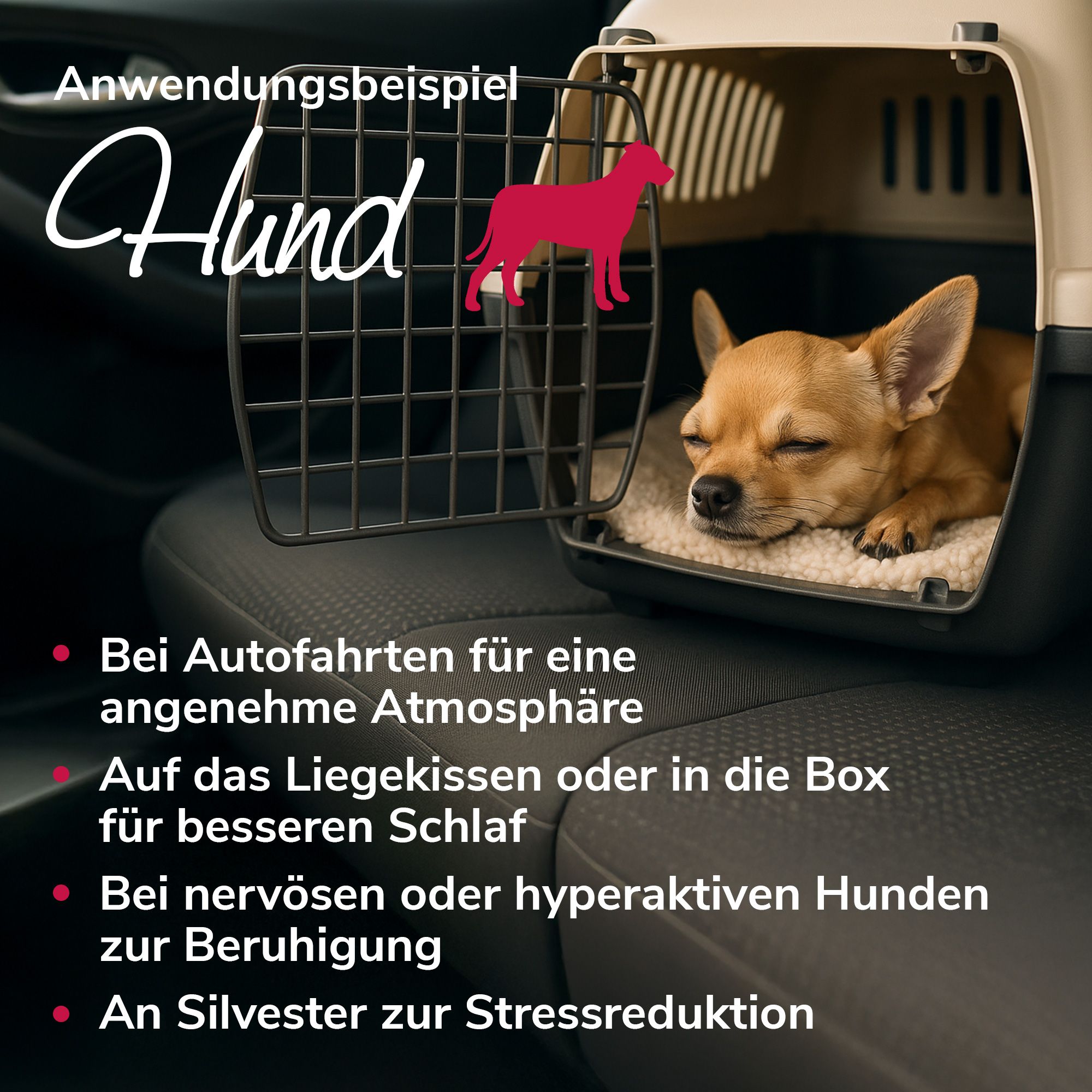 Hund in Transportbox im Auto. Text: Anwendungsbeispiel Hund. Rote Punkte mit Text.