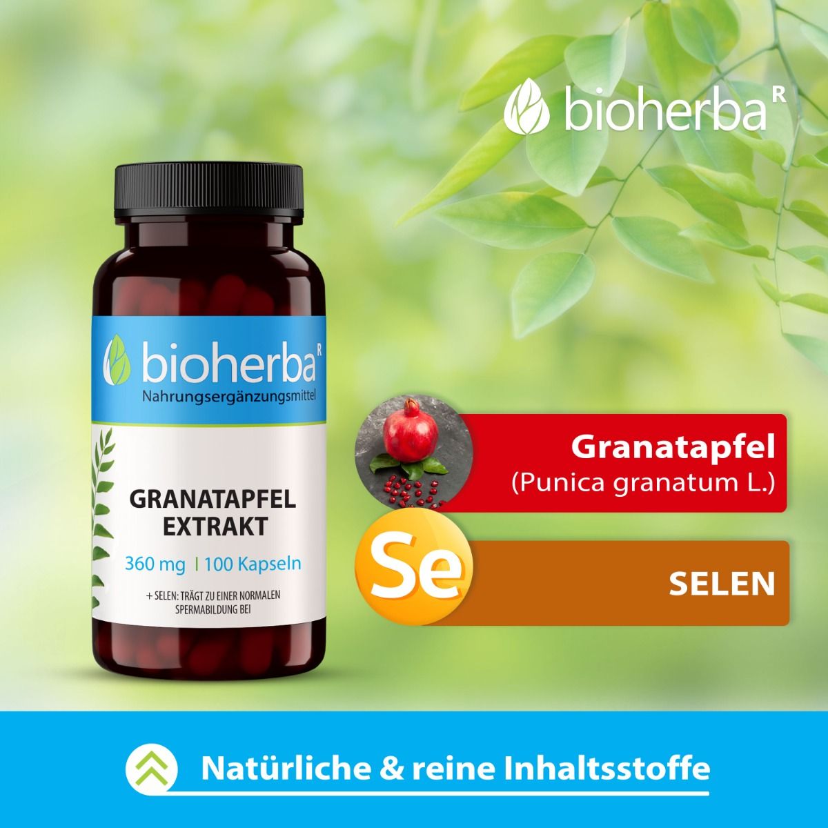 Braune Kapseln in einer braunen Flasche mit schwarzem Deckel. Etikett mit Produktname und Inhaltsstoffen. Zusätzliche Informationen zu Granatapfel und Selen.