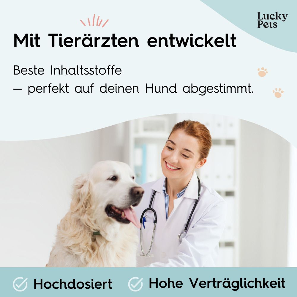 Ärztin mit Hund. Text: Mit Tierärzten entwickelt. Beste Inhaltsstoffe - perfekt auf deinen Hund abgestimmt. Hochdosiert. Hohe Verträglichkeit.