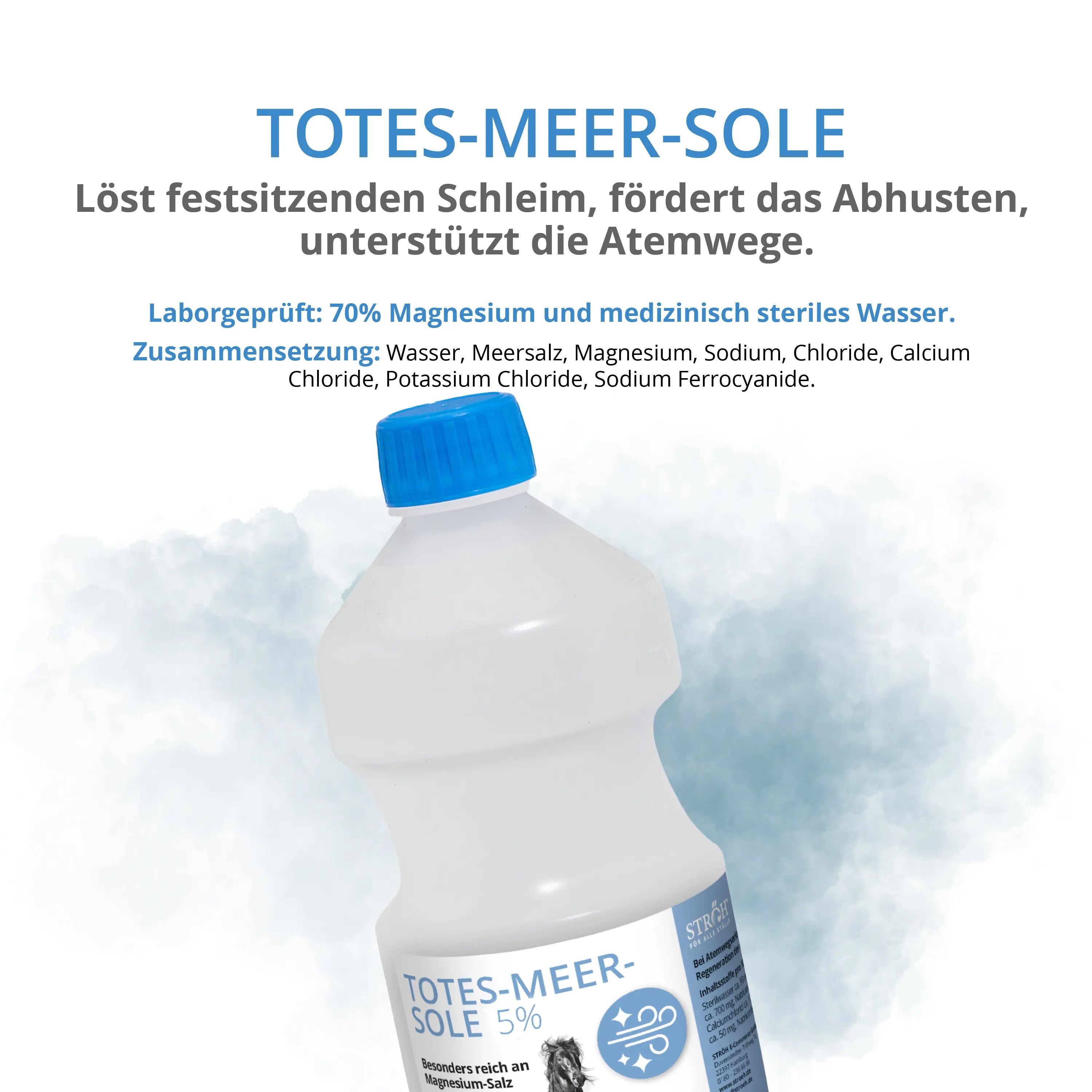 Flasche STRÖH Totes-Meer-Sole 5% mit blauem Deckel. Etikett mit Produktname, Pferd-Grafik. Text: Löst Schleim, fördert Abhusten. Hintergrund: Wasserfarben.