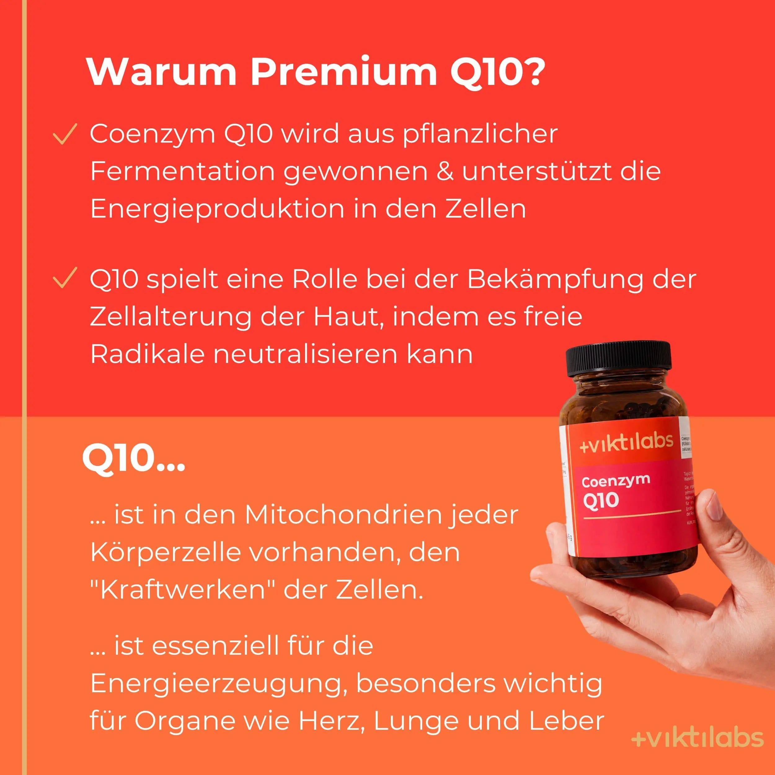 Hand hält eine Flasche Viktilabs Coenzym Q10, mit Text über die Rolle von Q10.