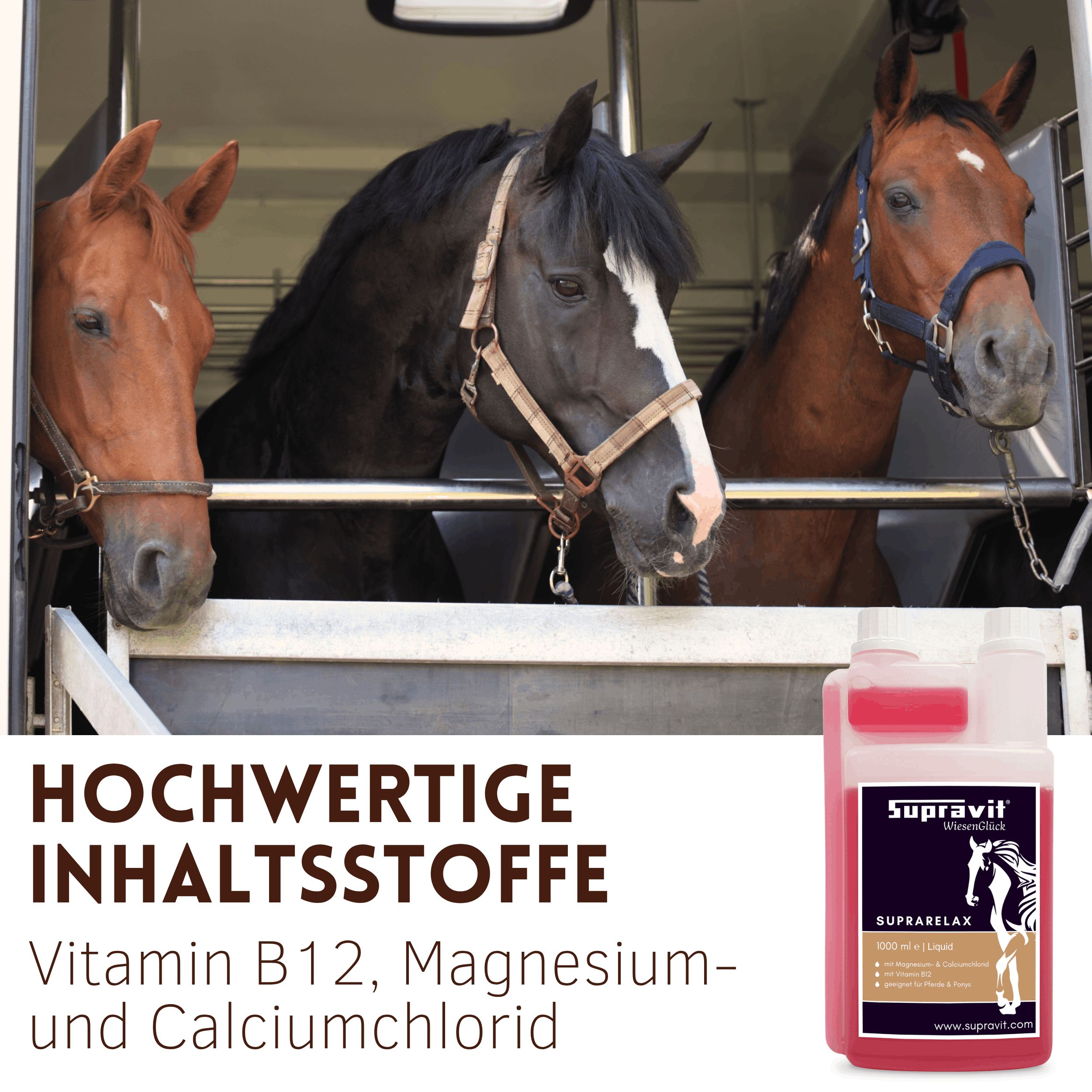 Drei Pferde in einem Anhänger. Rechts das Produkt: Supravit SupraRelax, Flüssigmagnesium mit B12. Aufschrift: Hochwertige Inhaltsstoffe.