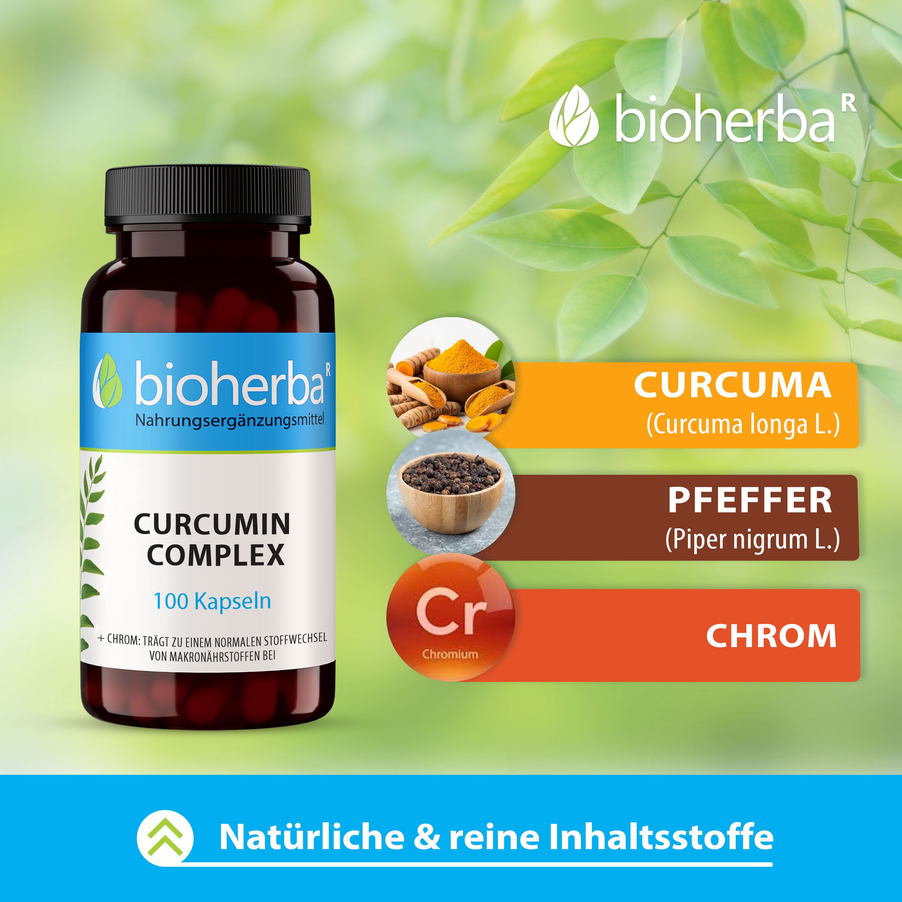 Bioherba Curcumin Complex Kapseln