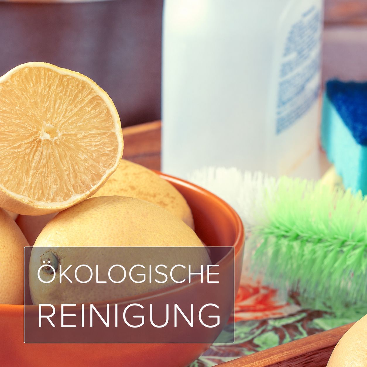 Ökologische Reinigung mit Zitronen und Bürsten.