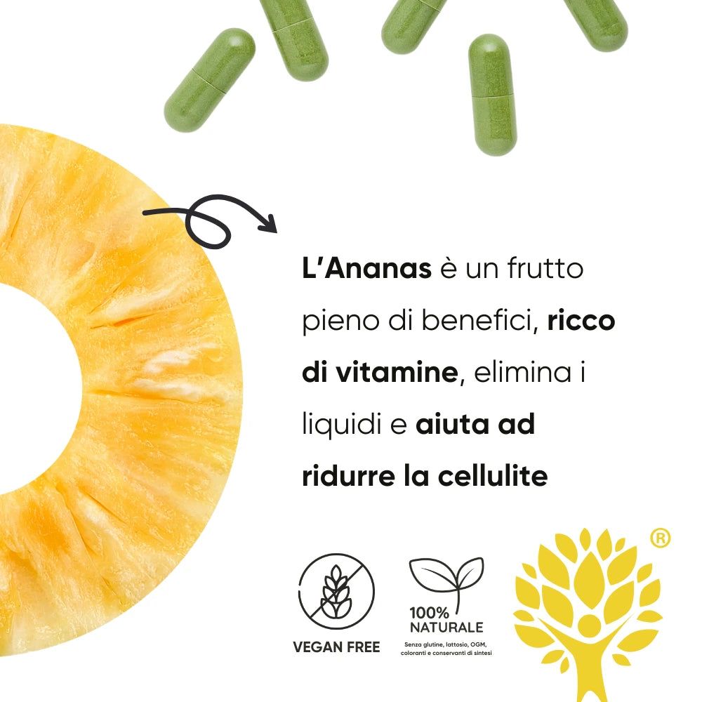 Ananas und RedMoringa: Vegan, 100% natürlich, zur Reduzierung von Cellulite.