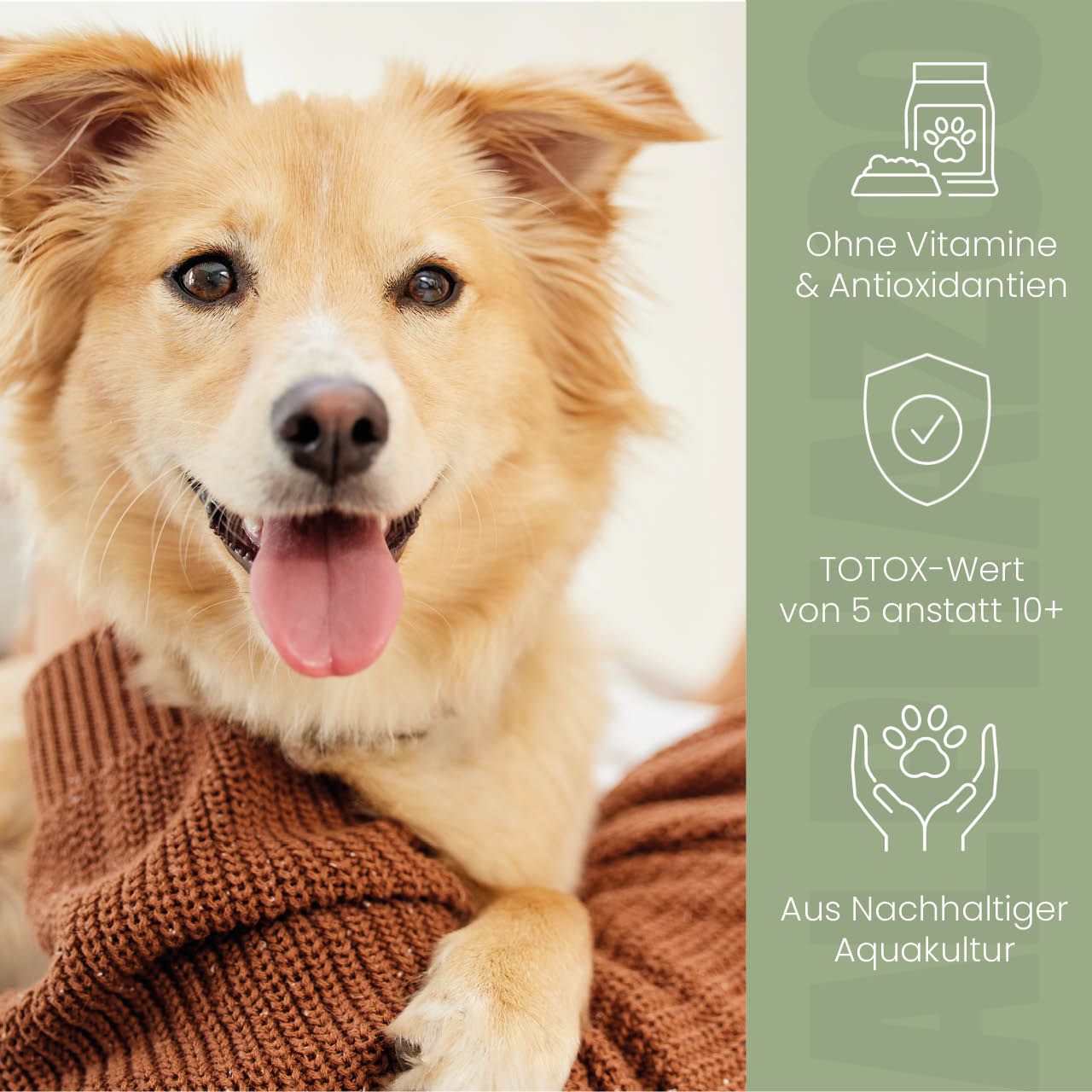 Hund mit Zunge draußen. Text: Ohne Vitamine & Antioxidantien. TOTX-Wert von 5 anstatt 10+. Aus Nachhaltiger Aquakultur.