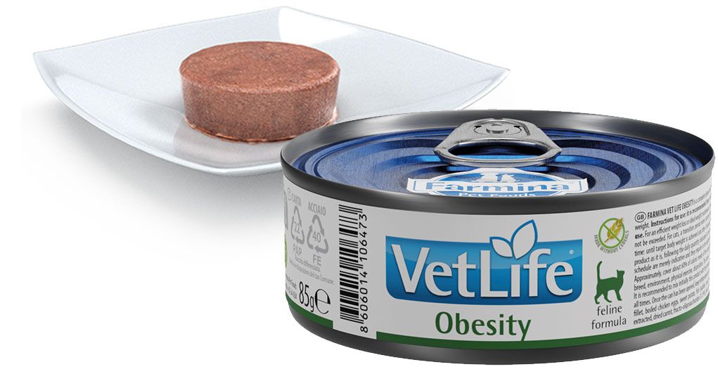 Katzenfutterdose und Futter auf Teller. Dose mit "VetLife Obesity"-Etikett. Futter in brauner Pastetenform.