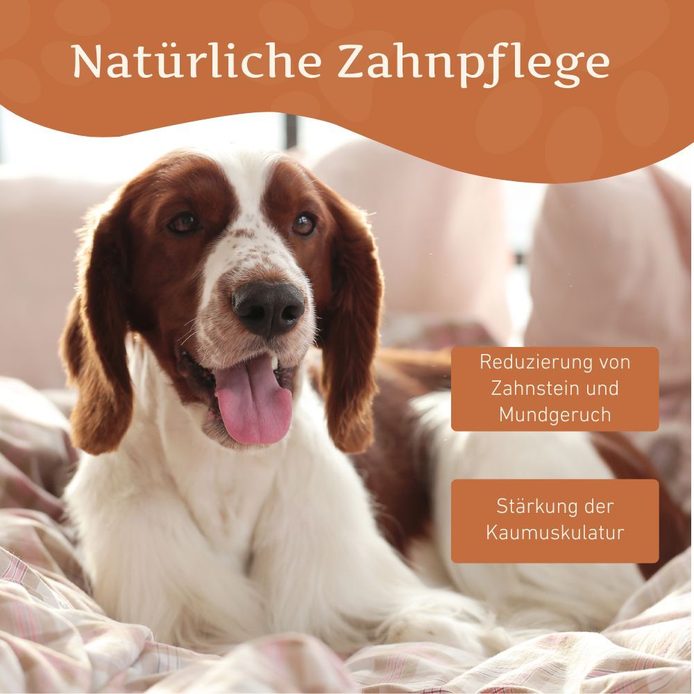 WILDFANG® Kaustab aus Hartkäse - Kaukäse - Hundeknochen Käse