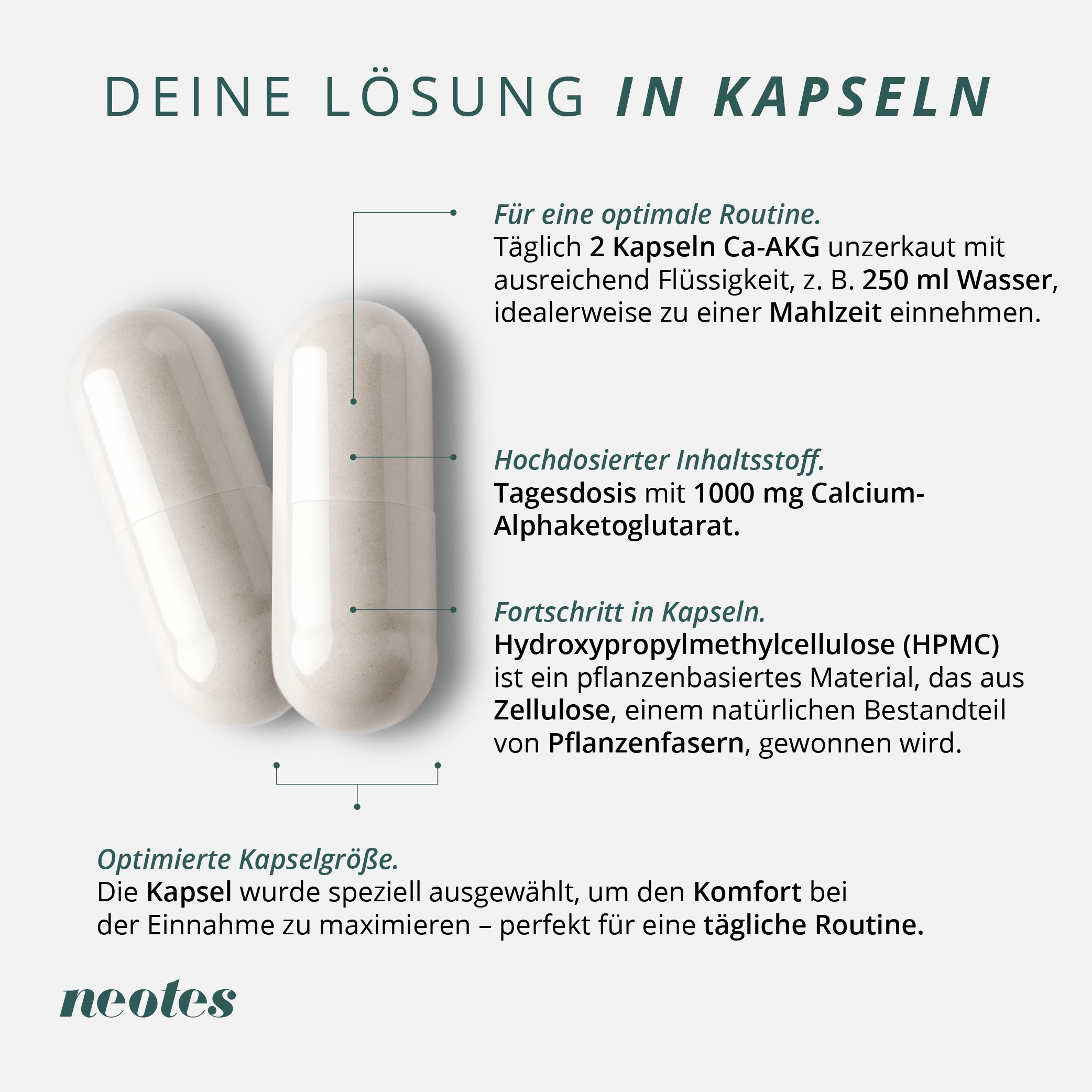 neotes Calcium-Alphaketoglutarat Kapseln