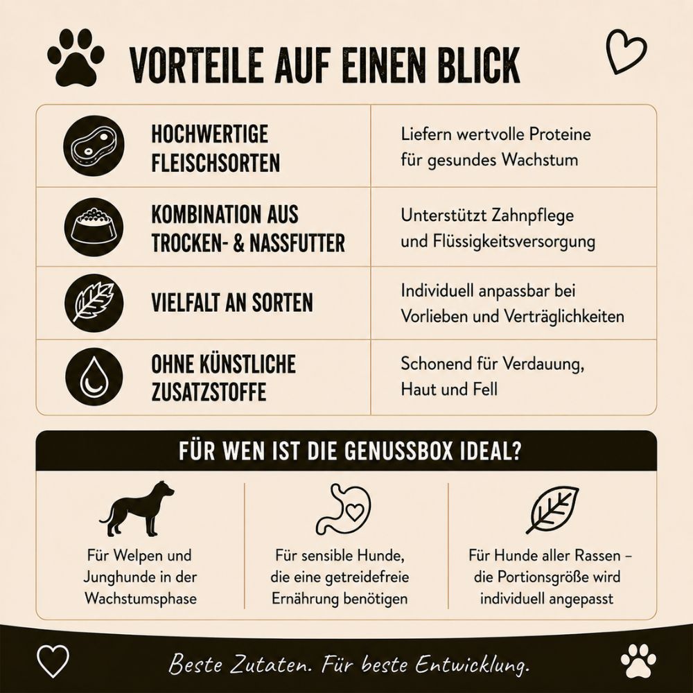 Vorteile der Wildfang Genussbox Junior für Hunde.