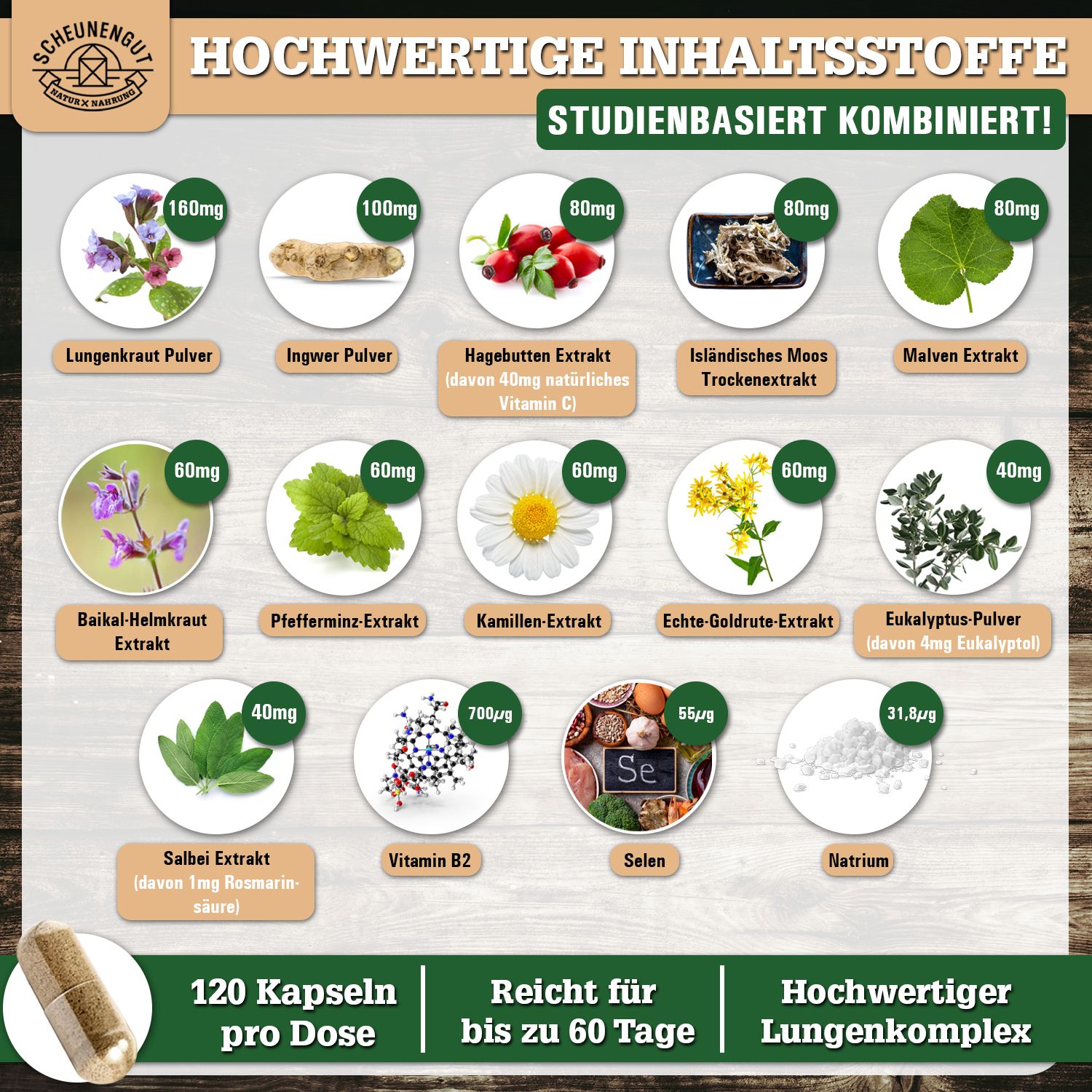 Scheunengut® LUNGENKRAFT® | Lungenkraut Kapseln | Komplex mit isländisch Moos, Salbei uvm