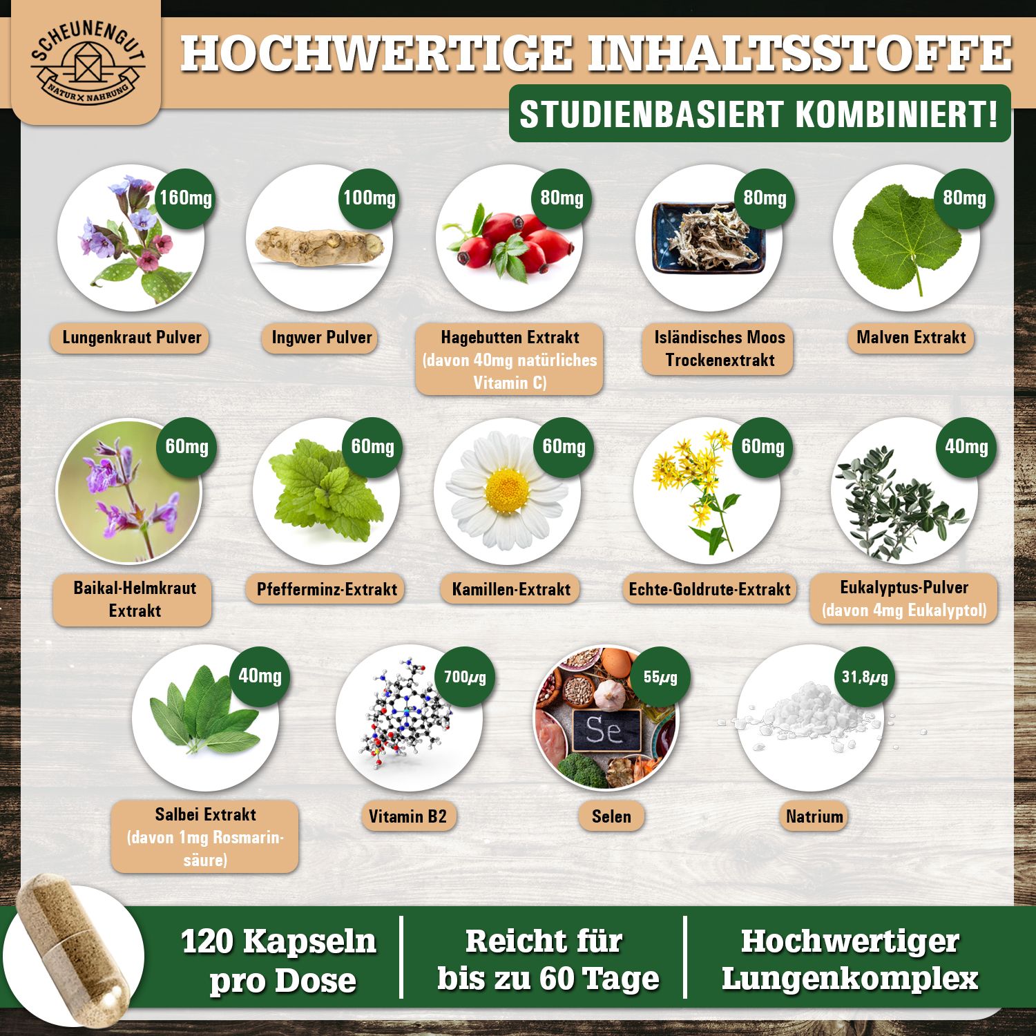 Scheunengut® Lungenkraft® | Lungenkraut Kapseln Komplex mit isländisch Moos, Salbei uvm 120 St