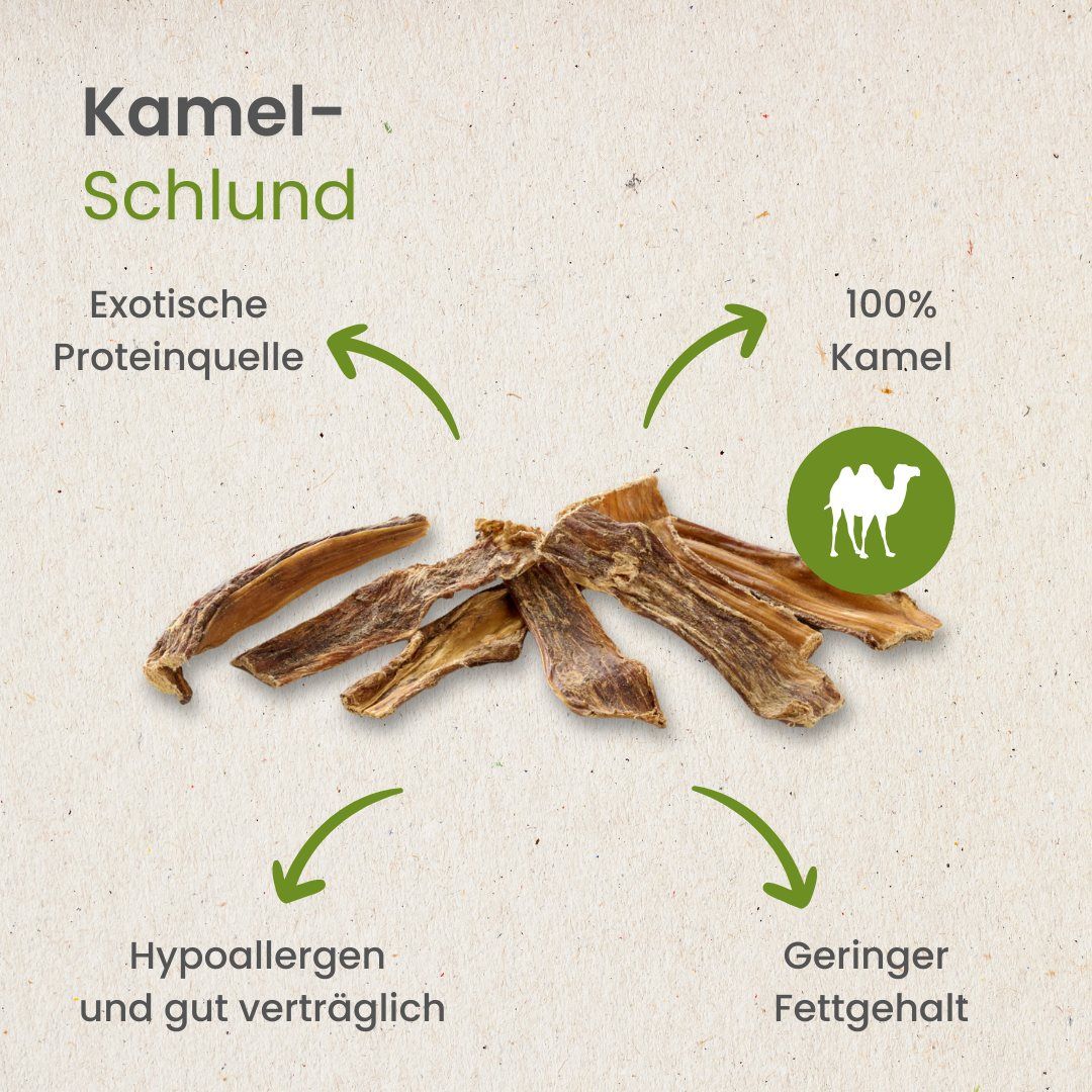 Fünf gedrehte Rinder-Kausticks liegen auf weißem Hintergrund.