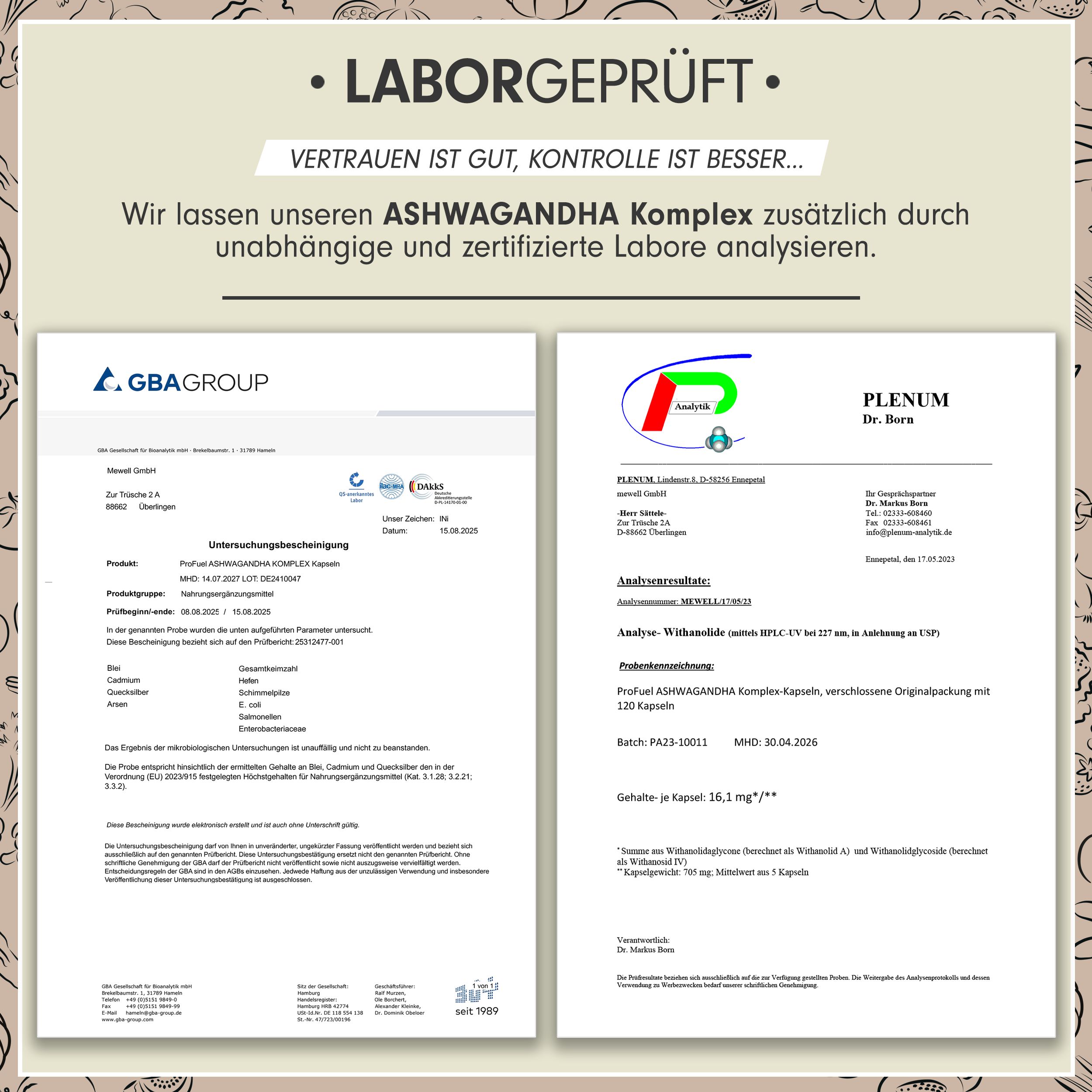 ProFuel - Ashwagandha Komplex mit Premium KSM-66 - 360 Kapseln