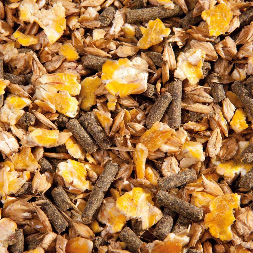 Nahaufnahme von EMH F-Müsli. Mischung aus gelben, braunen und hellen Bestandteilen. Unterschiedliche Formen und Texturen.