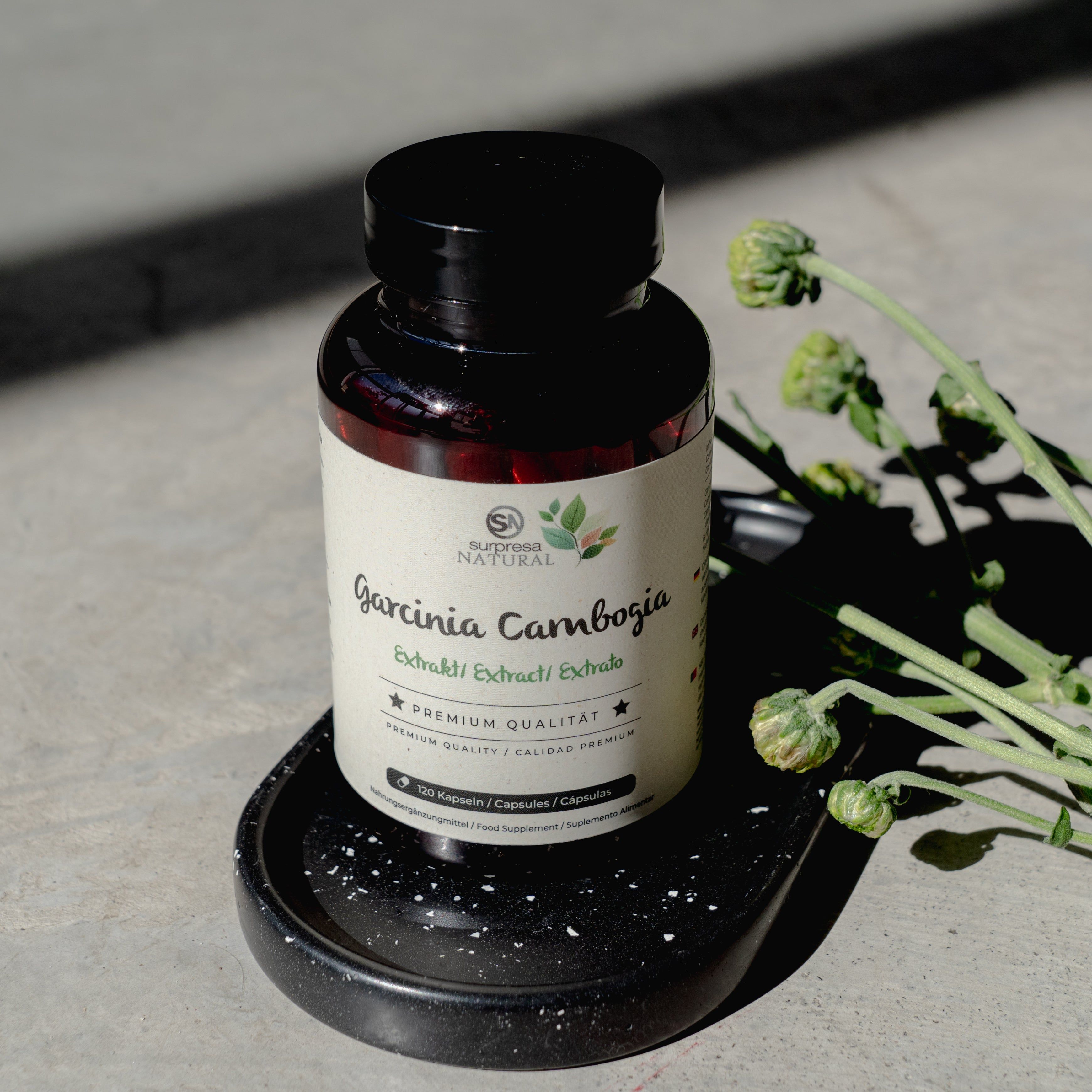 Flasche Surpresa Natural Garcinia Cambogia Extrakt auf schwarzer Schale mit grünen Knospen.