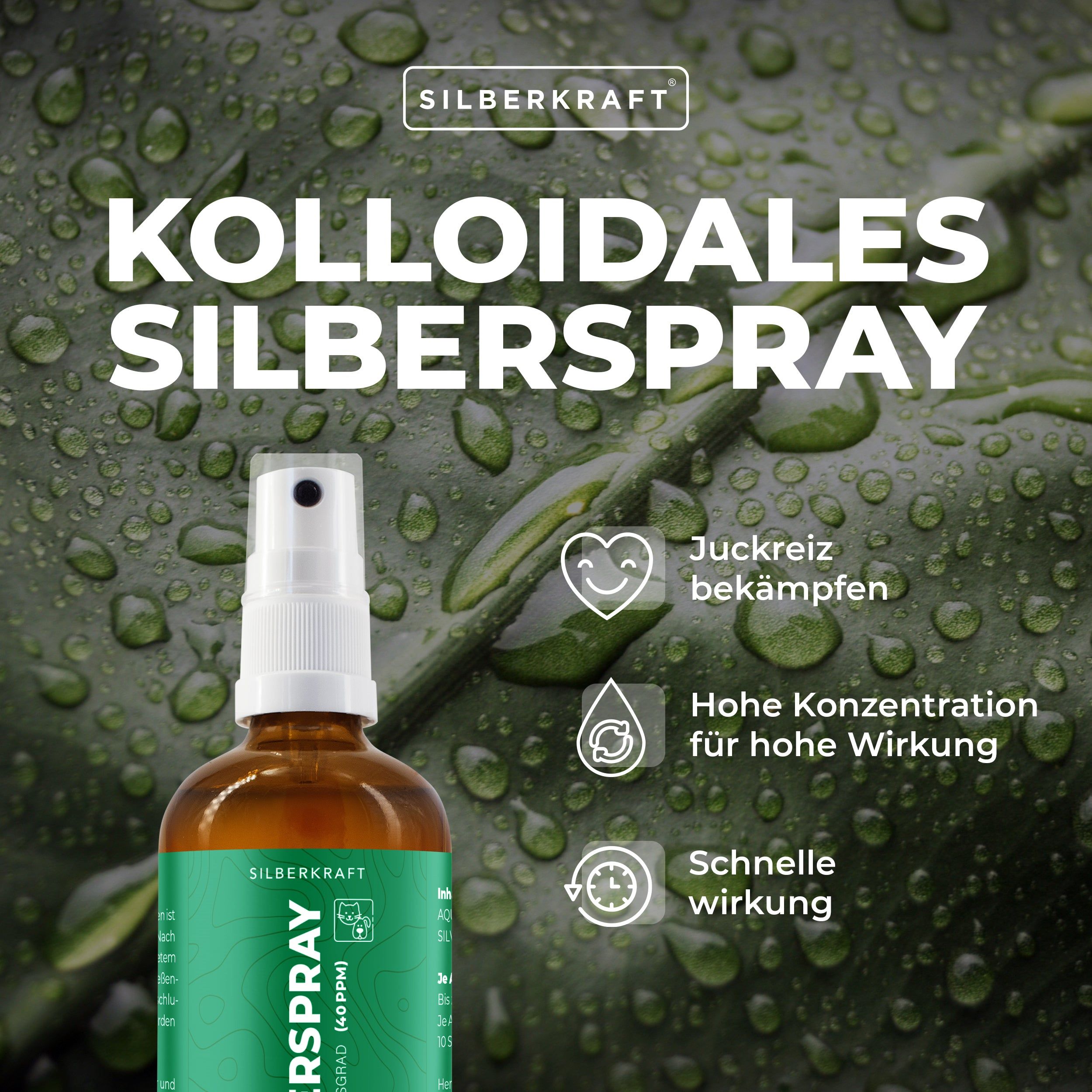 Silberkraft Kolloidales Silberspray für Haustiere 4x100 ml Spray