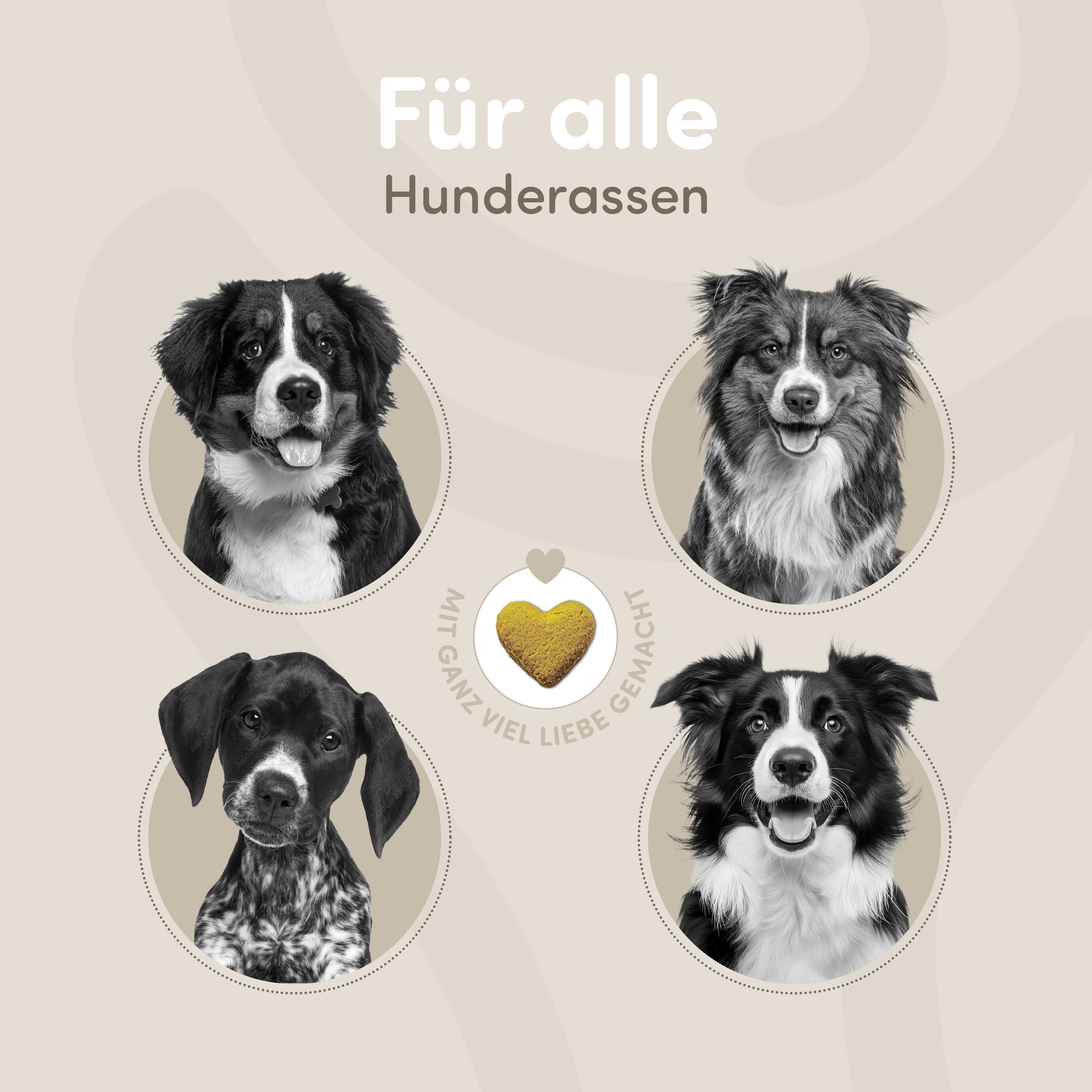 Vier Hunde verschiedener Rassen in Kreisen. Text: Für alle Hunderassen. Herzförmiger Snack in der Mitte.