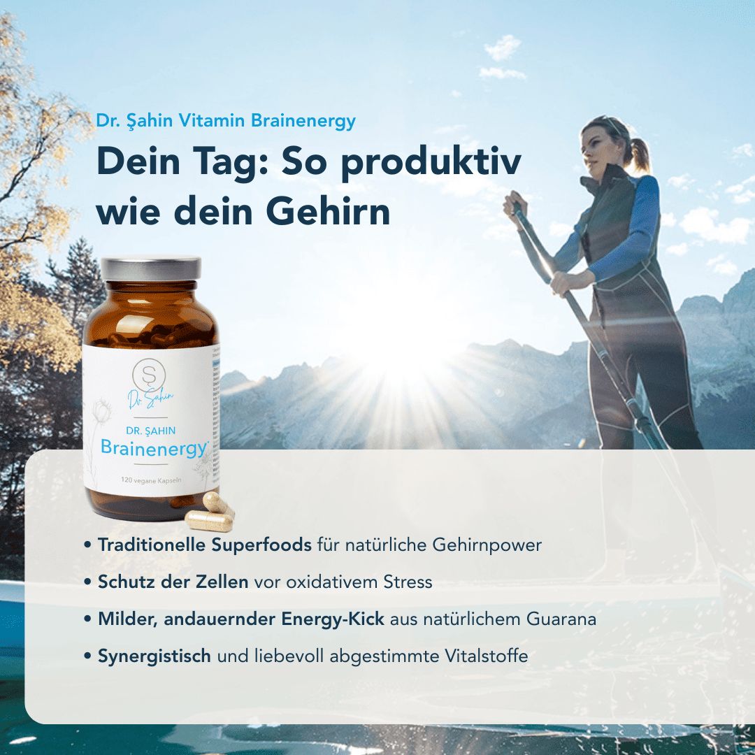 Dr. Şahin Brainenergy*
