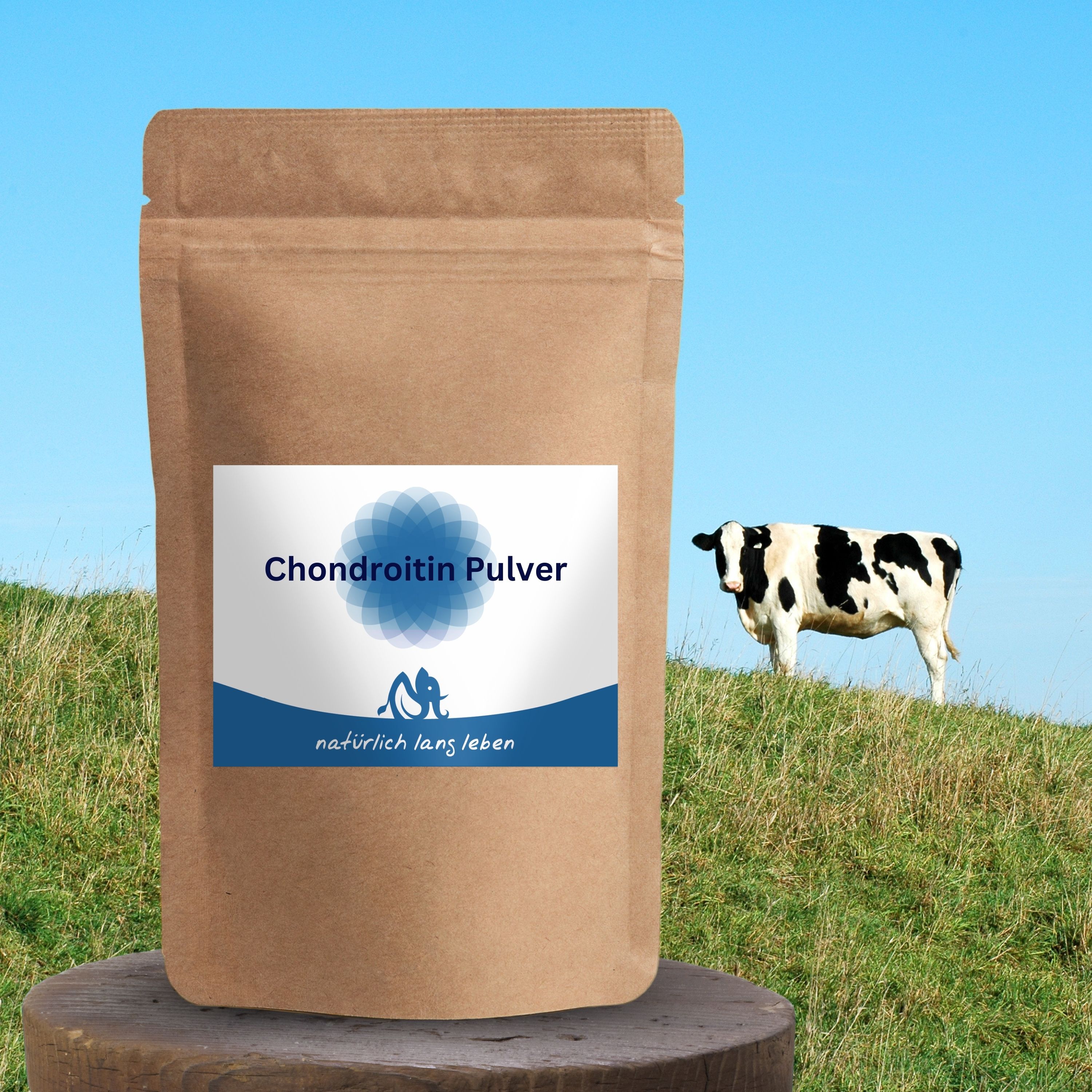 Braune Pulverpackung mit Etikett. Aufschrift: Chondroitin Pulver, natürlich lang leben. Blaues Logo. Im Hintergrund eine Kuh auf einer Wiese.