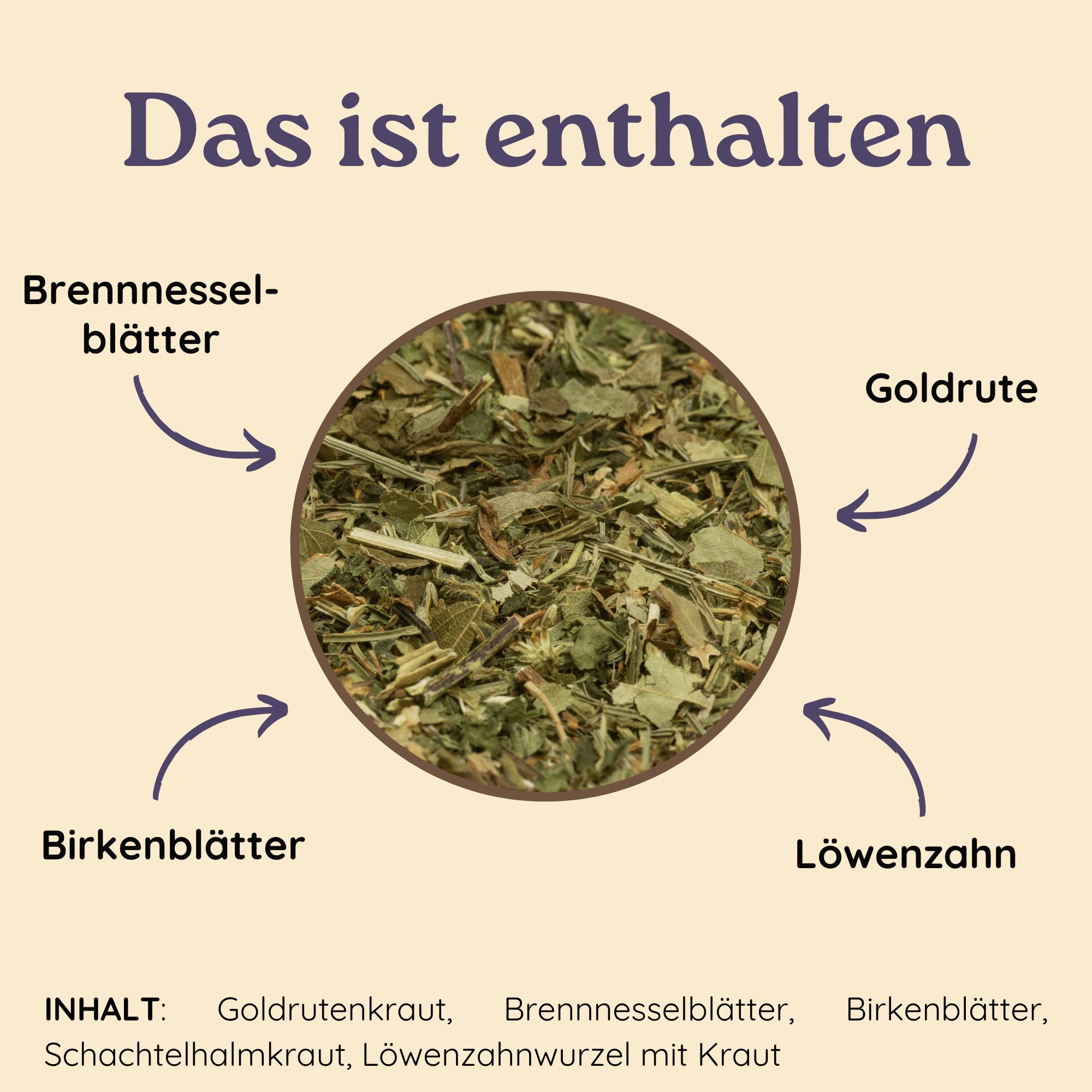 Kreisförmige Anordnung von Kräutern. Pfeile zeigen auf Brennnesselblätter, Goldrute, Birkenblätter und Löwenzahn. Text: Das ist enthalten.