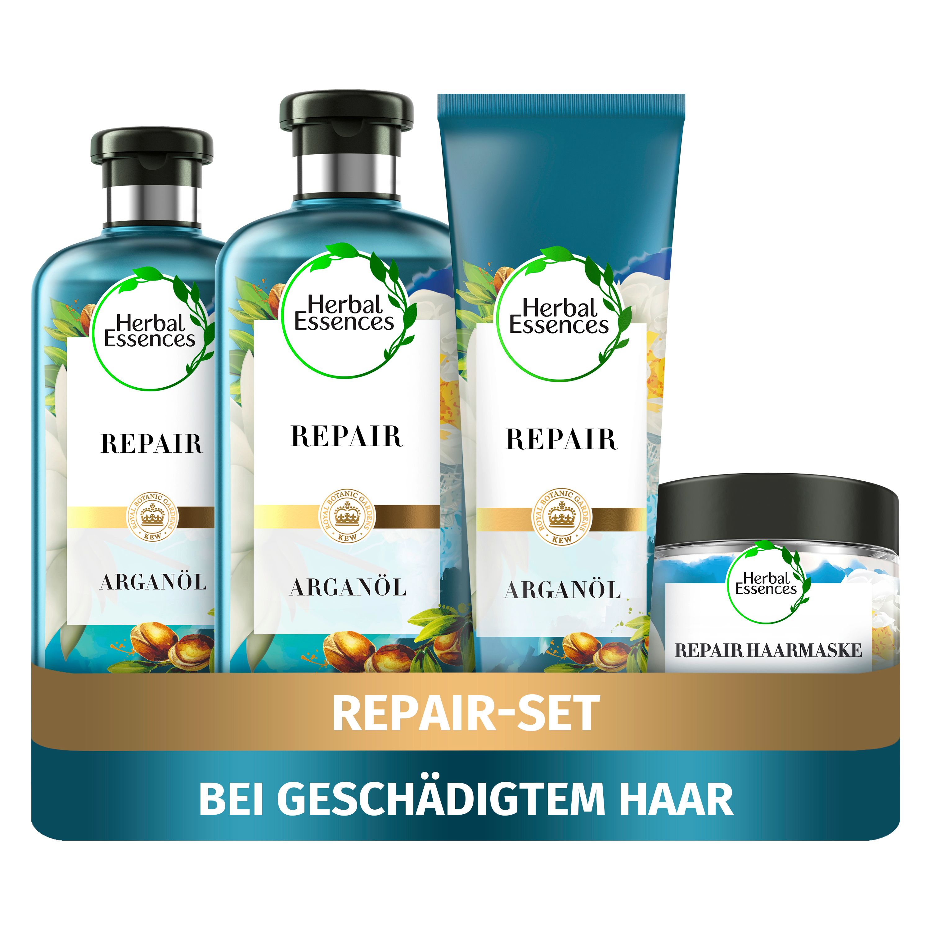 Herbal Essences - Haarpflege "PURE:renew Arganöl" Repair-Pflegeset