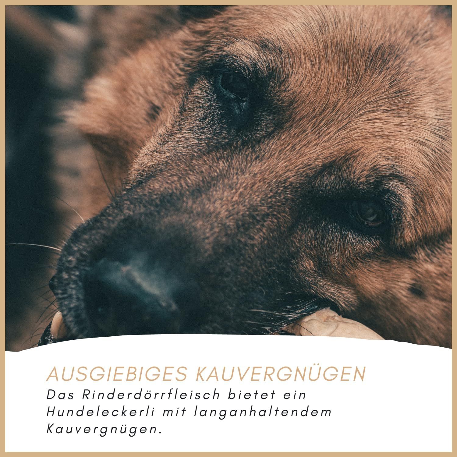 Hund kaut getrocknetes Rindfleisch. Text: Ausgiebiges Kauvergnügen. Hundeleckerli mit langanhaltendem Kauvergnügen.