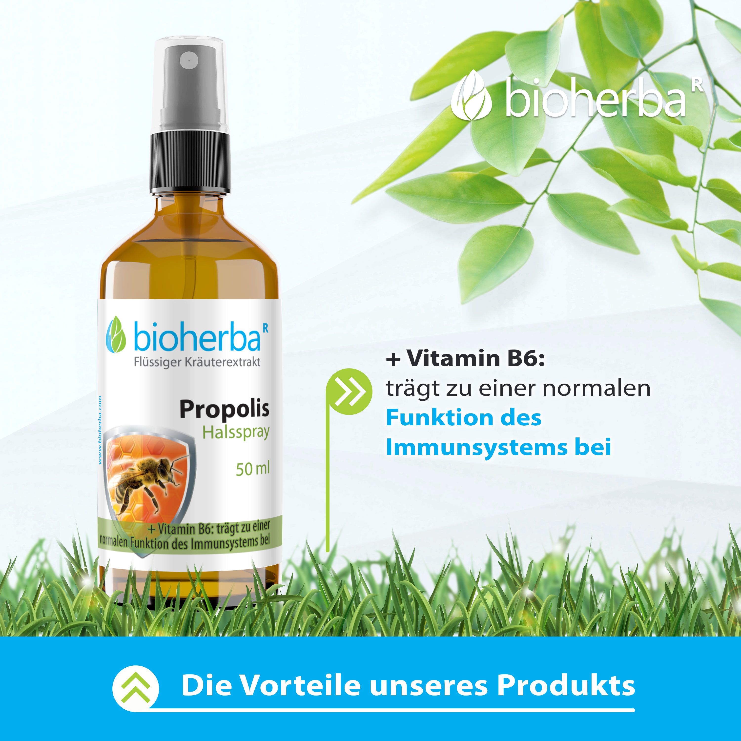 Bioherba Halsspray mit Propolis Extrakt