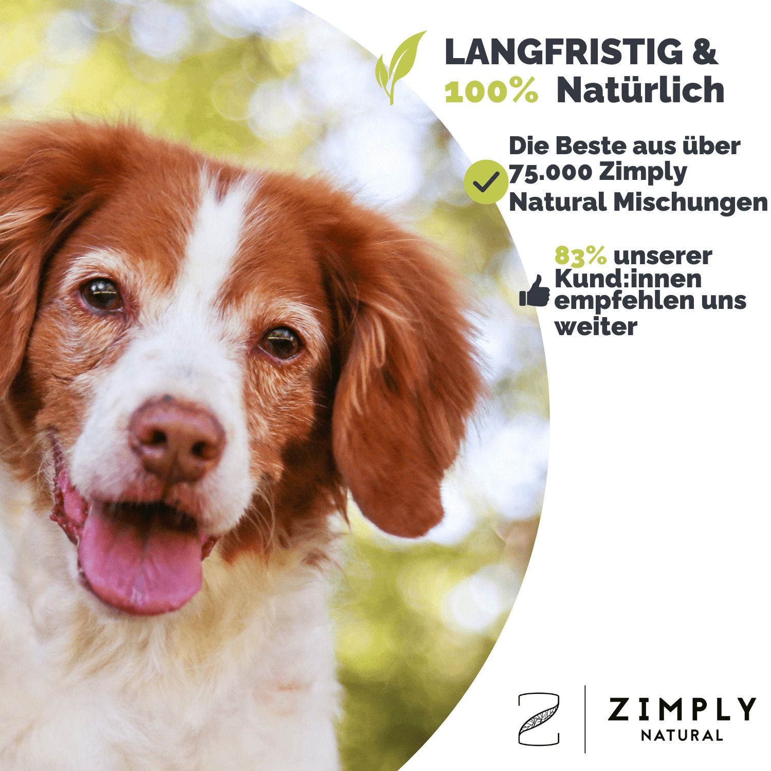 ZIMPLY NATURAL Hüft- & Gelenk Komplex Spray für Hunde 30 ml - Shop Apotheke
