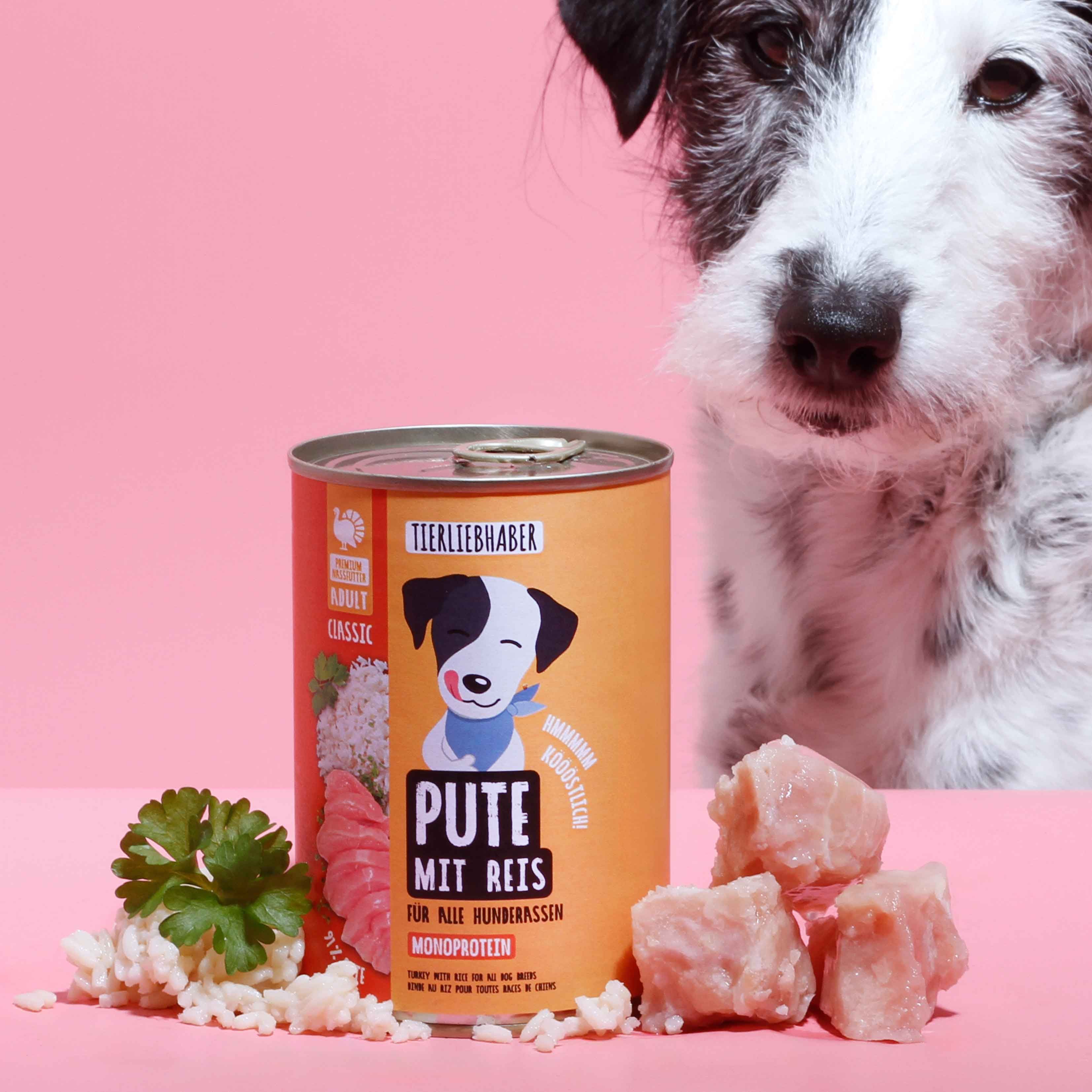 Hundefutterdose mit Aufschrift Pute mit Reis. Daneben Hund, Reis, Fleischstücke und Petersilie auf pinkem Untergrund.