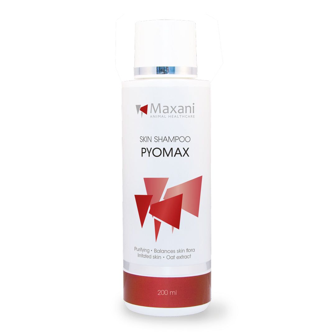 Weißes Shampoo-Fläschchen mit roter Grafik und Text. Aufschrift: Skin Shampoo Pyomax.