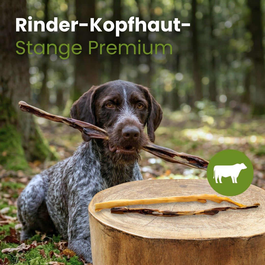 Ein Hund hält eine lange, gedrehte Rinderkopfhautstange im Maul. Daneben liegen zwei weitere Stangen.