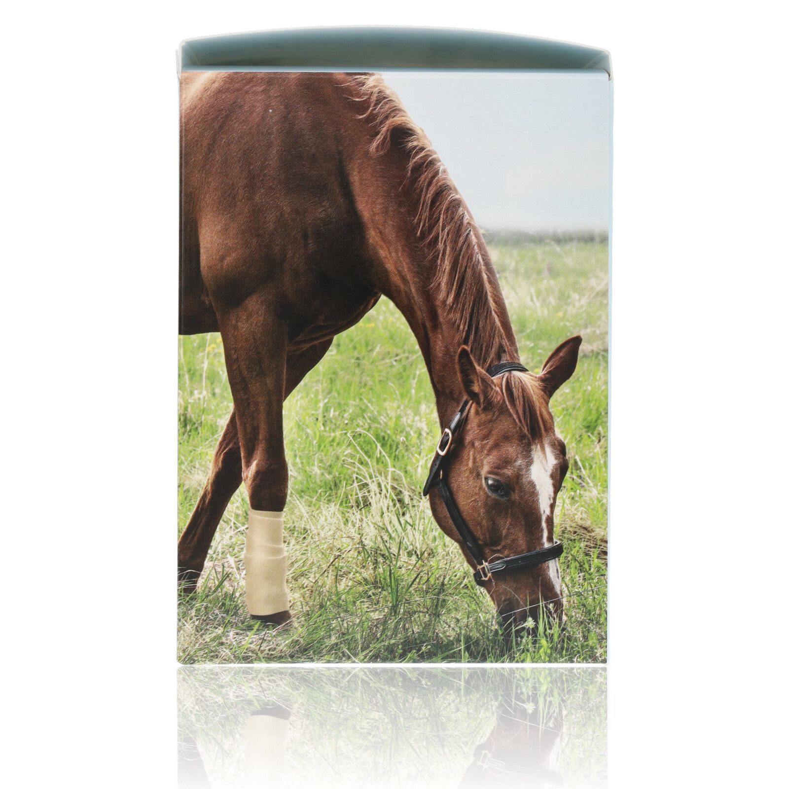 Snögg Animal Polster THICK Pfoten, Gelenke Wundverband 9cm x 2m