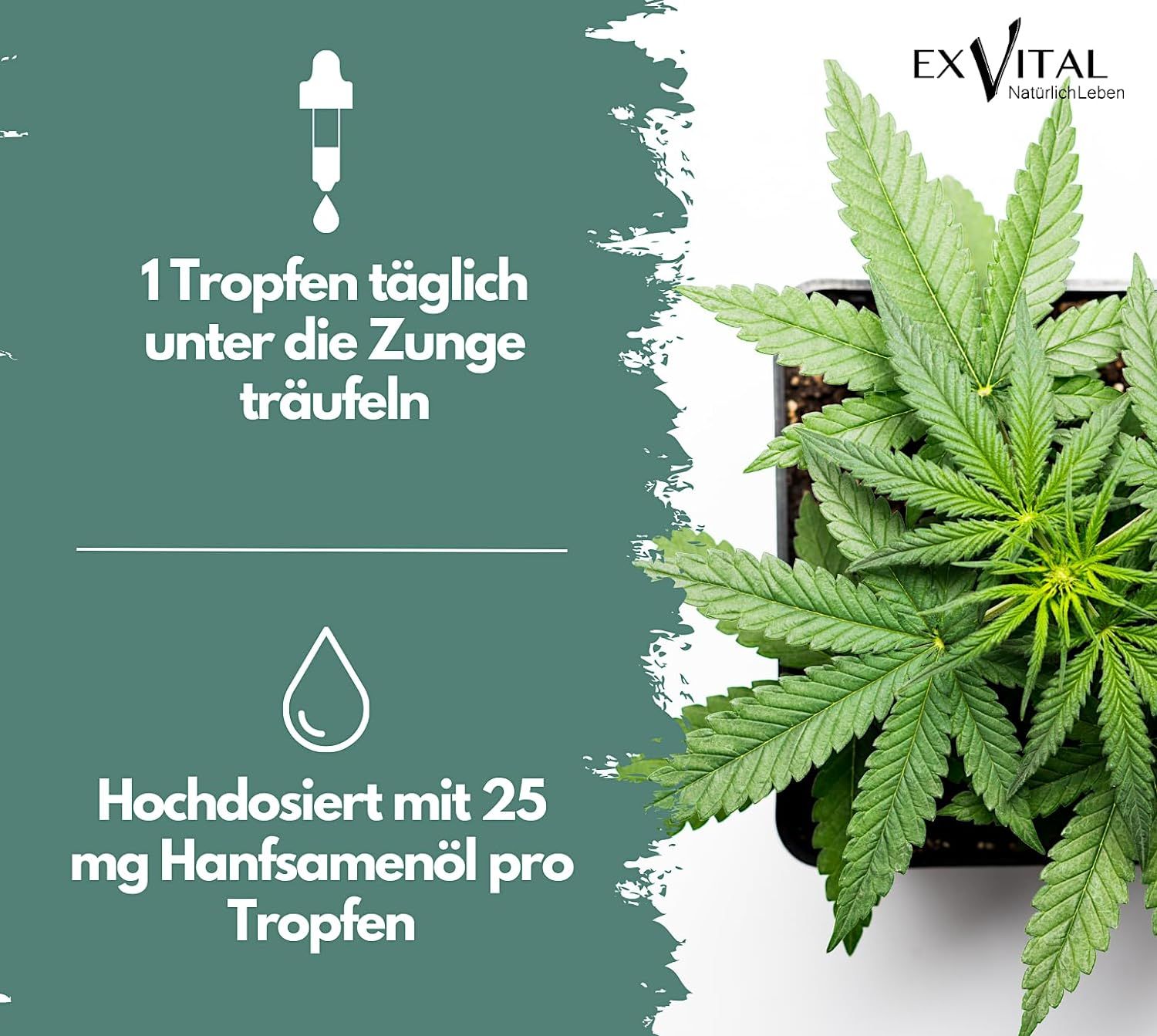 EXVital® Hanfsamenöl Tropfen mit Omega 3-6-9 Fettsäuren