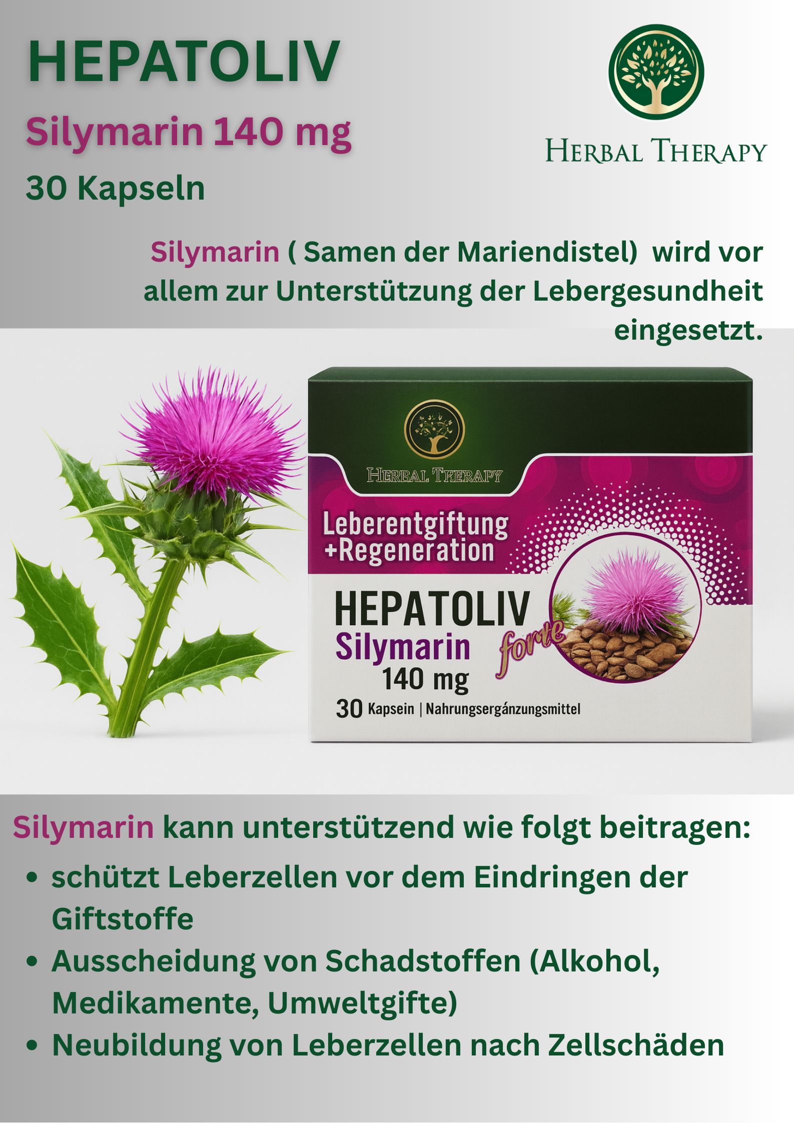 HEPATOLIV Silymarin 140 mg Schachtel mit Text und Abbildung. Produktname, 30 Kapseln. Hintergrund mit Pflanze.
